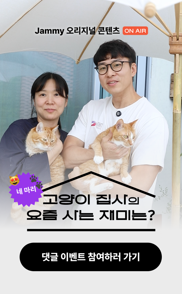 고양이 집사의 요즘 사는 재미는?