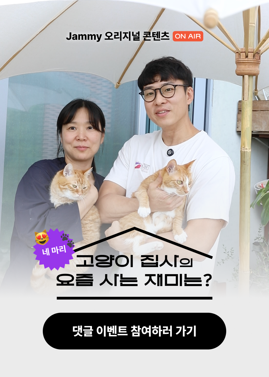 고양이 집사의 요즘 사는 재미는?