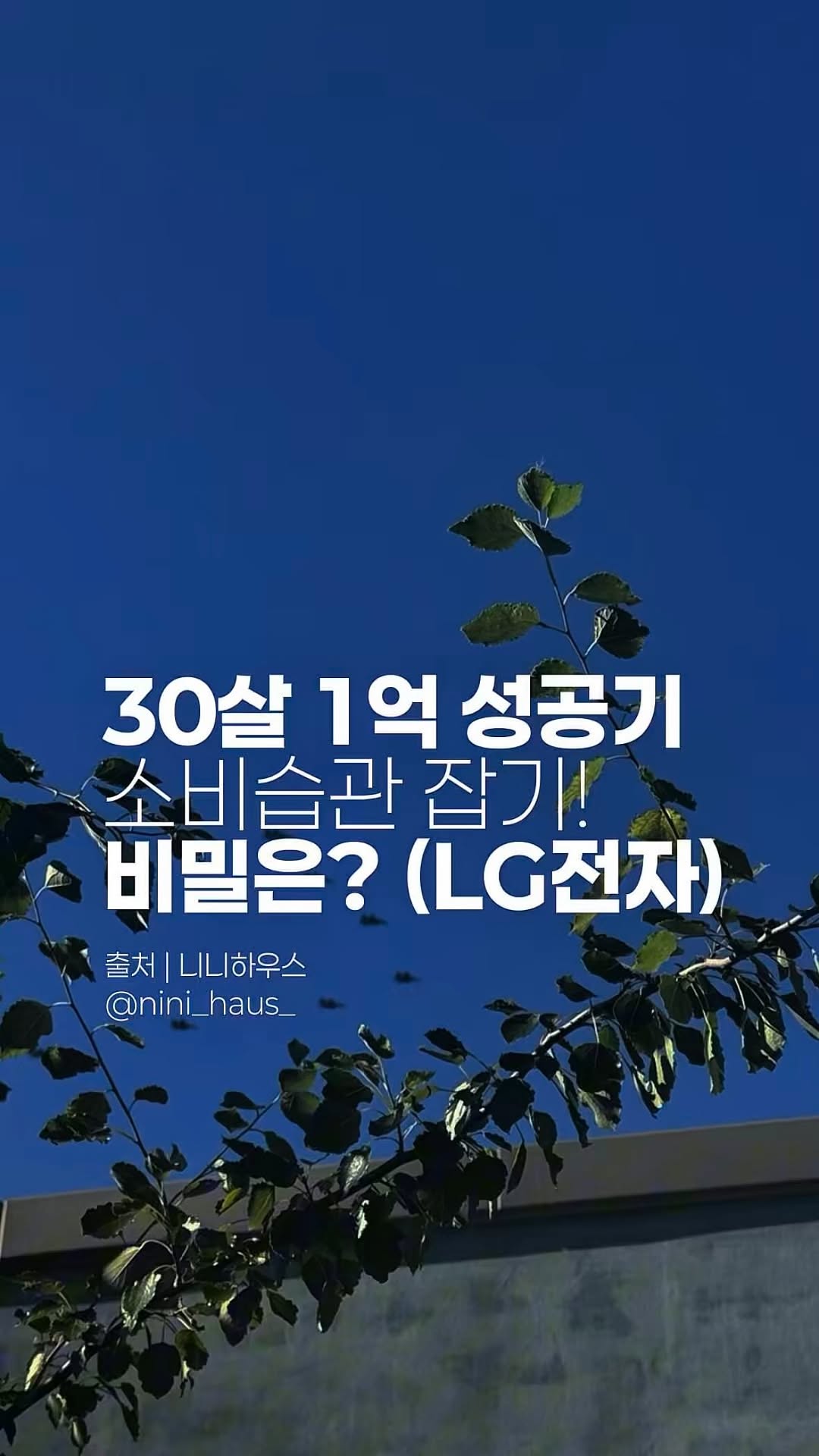 30살에 1억 모은 내가, ‘LG전자 가전 구독’ 추천하는 이유