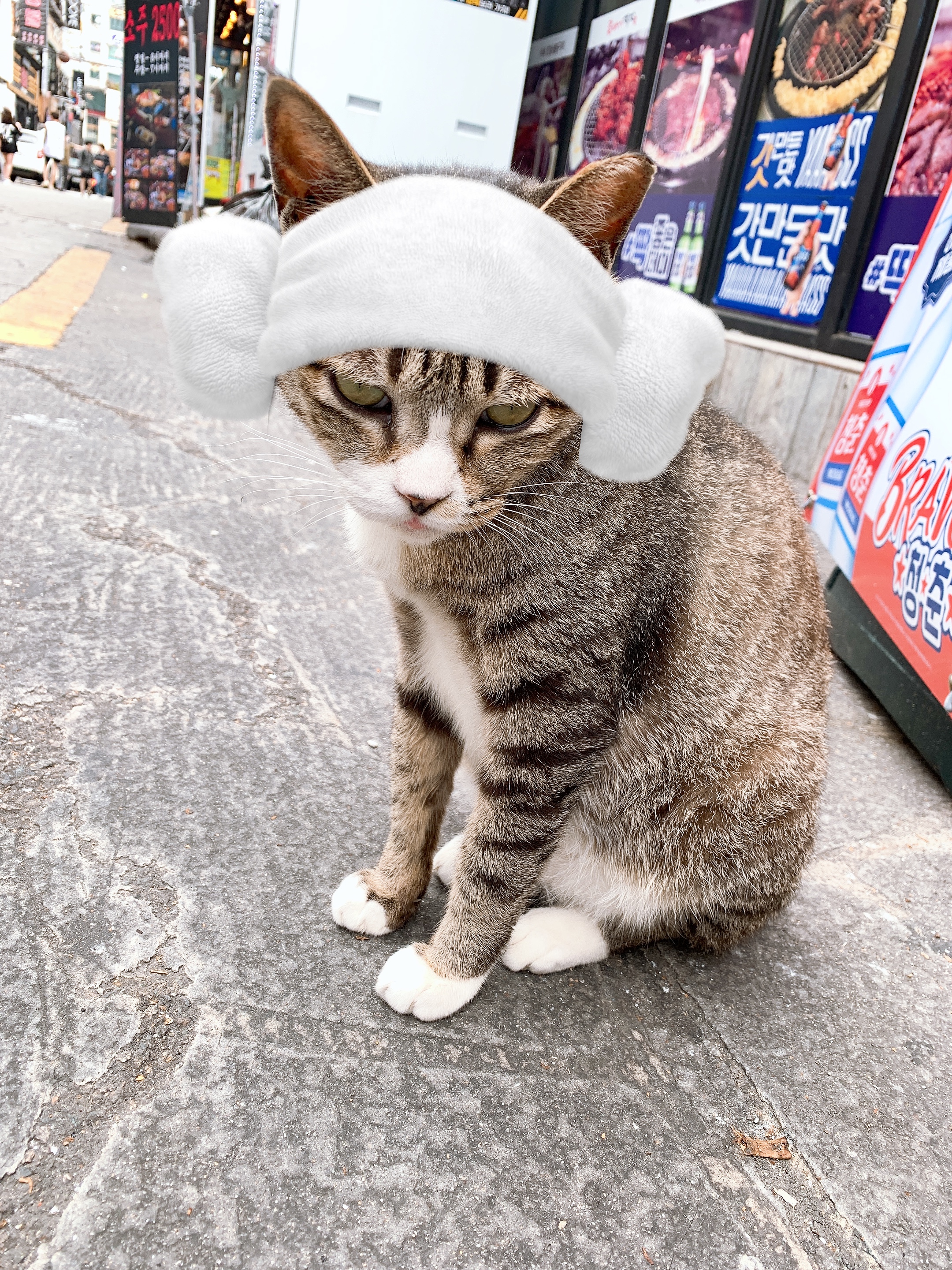 이미지