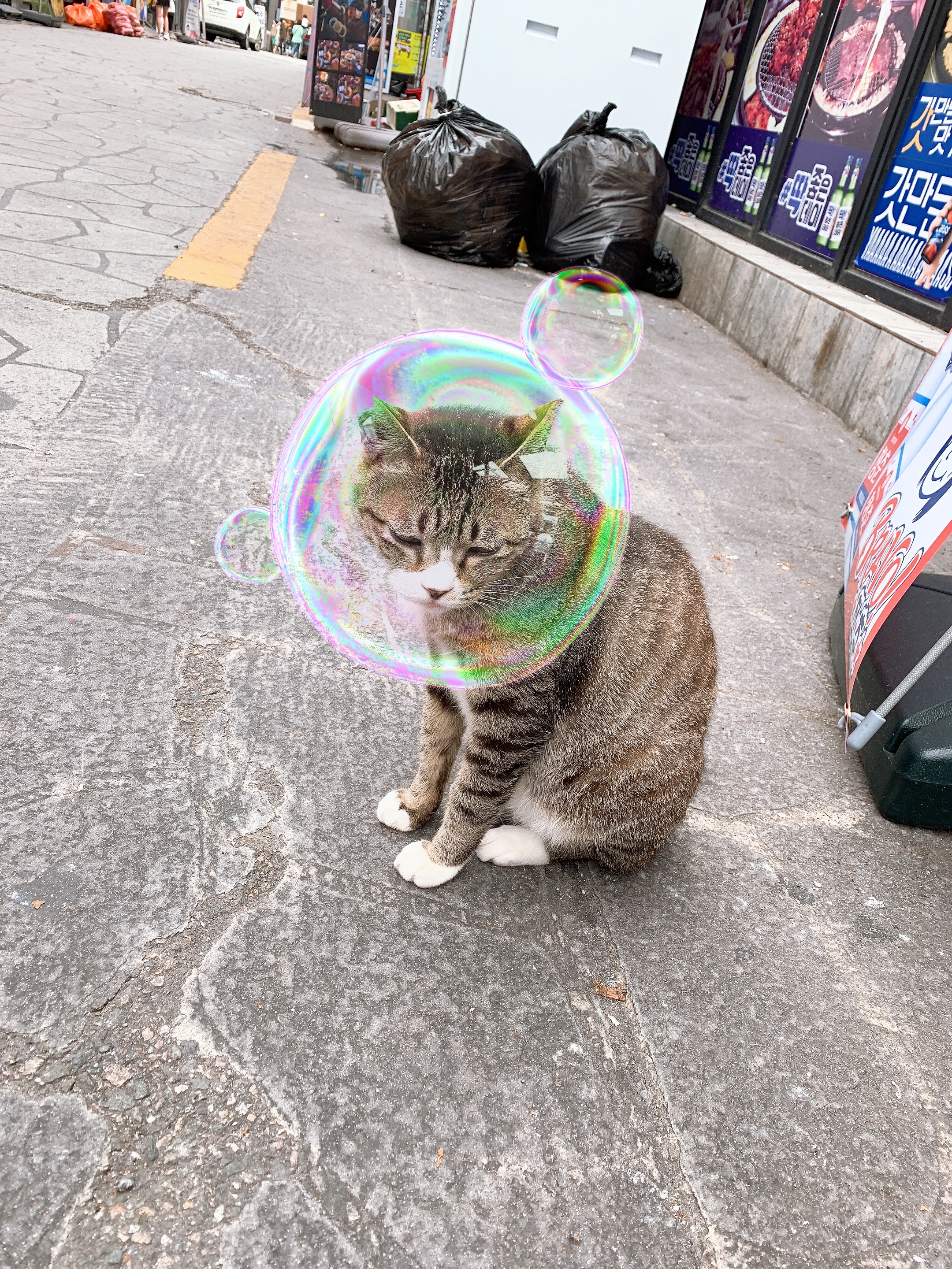 이미지