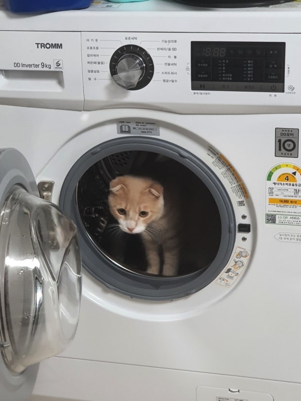 이미지