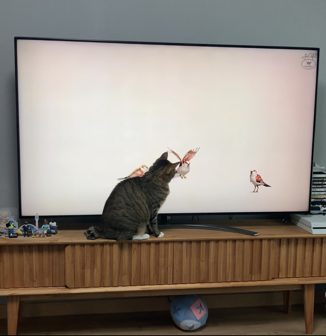 이미지