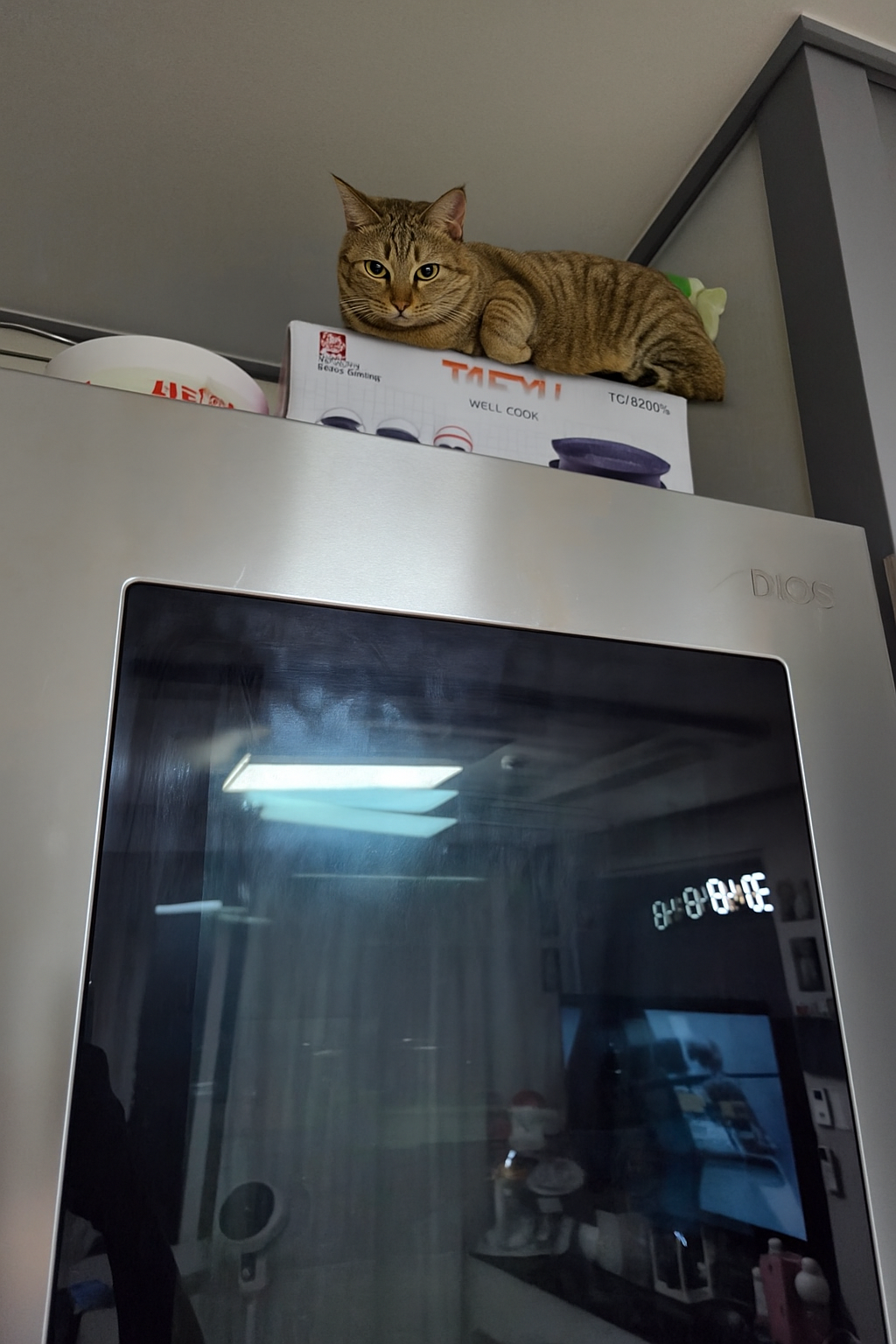 이미지
