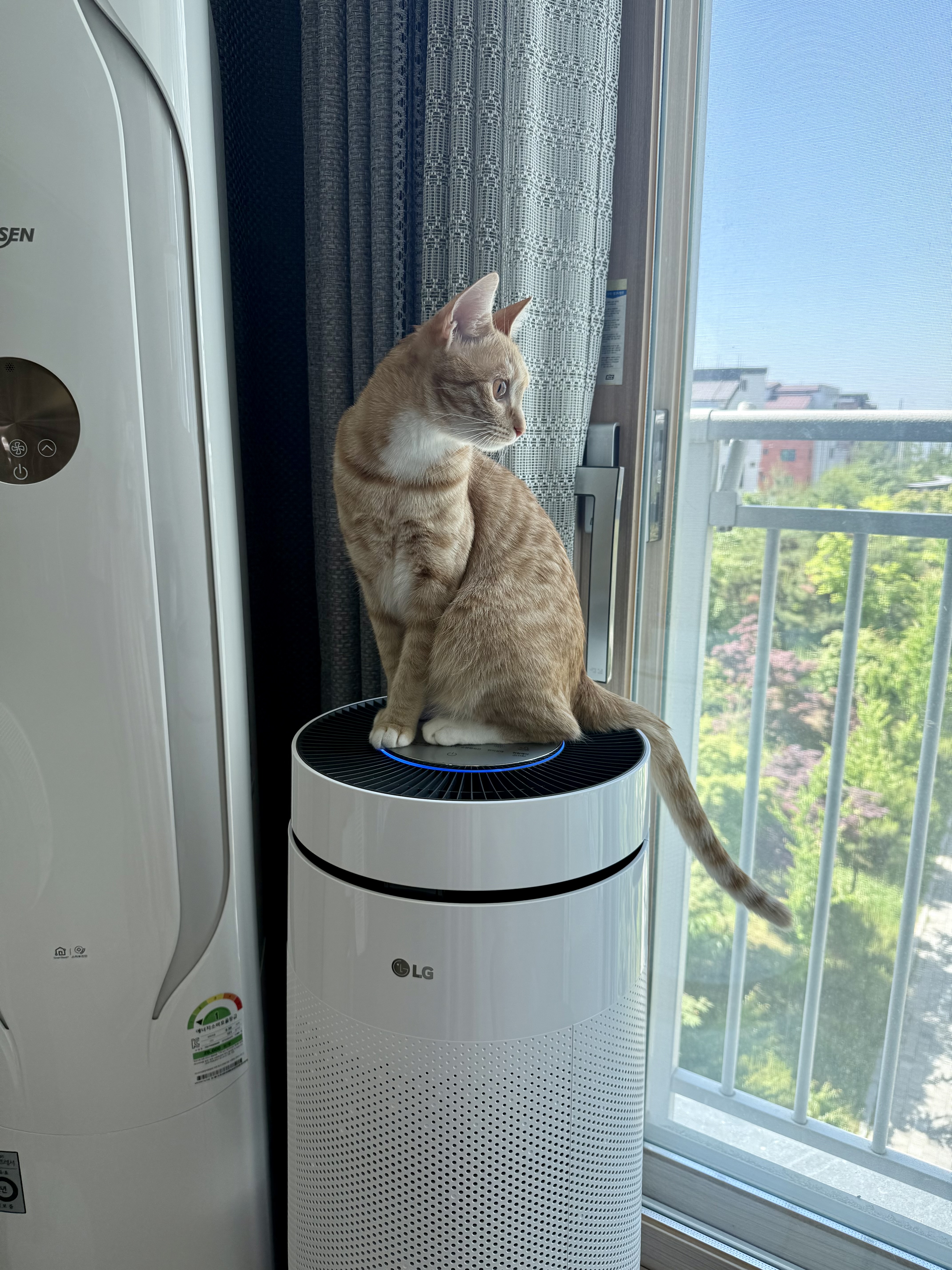 이미지