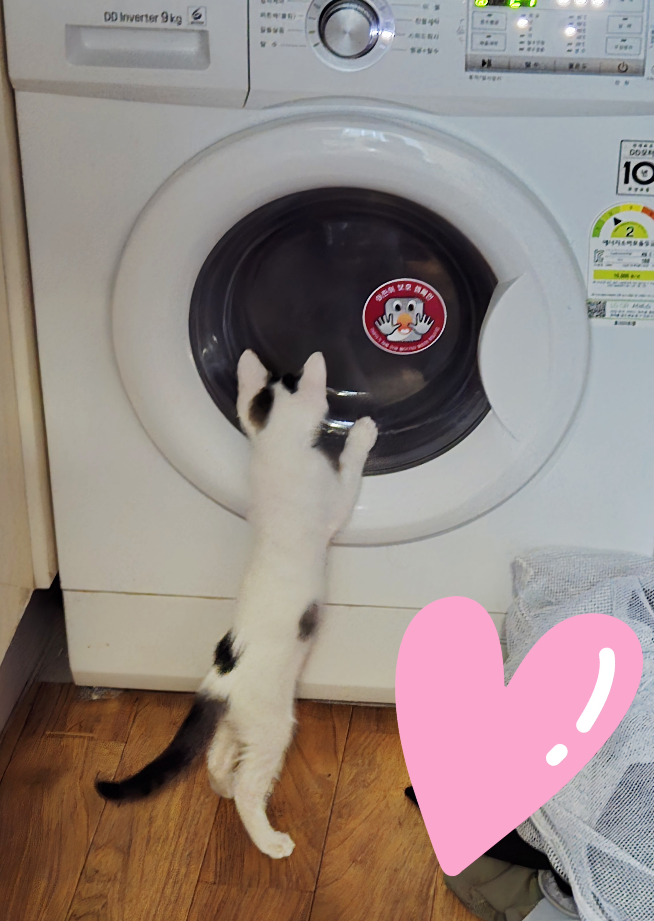 이미지