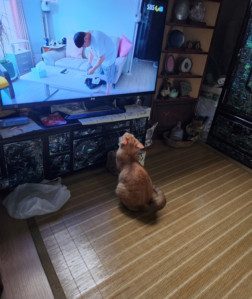 이미지