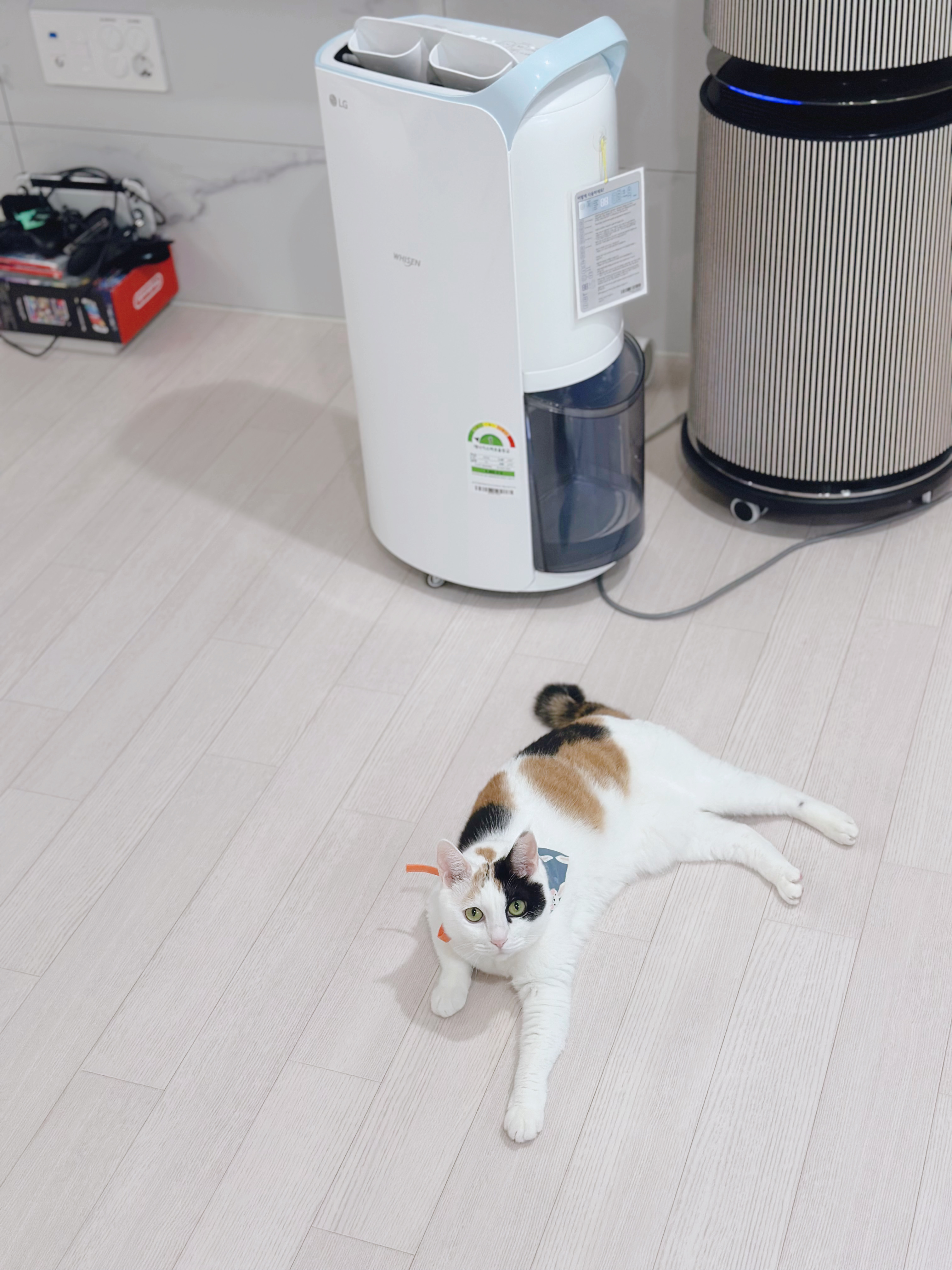 이미지