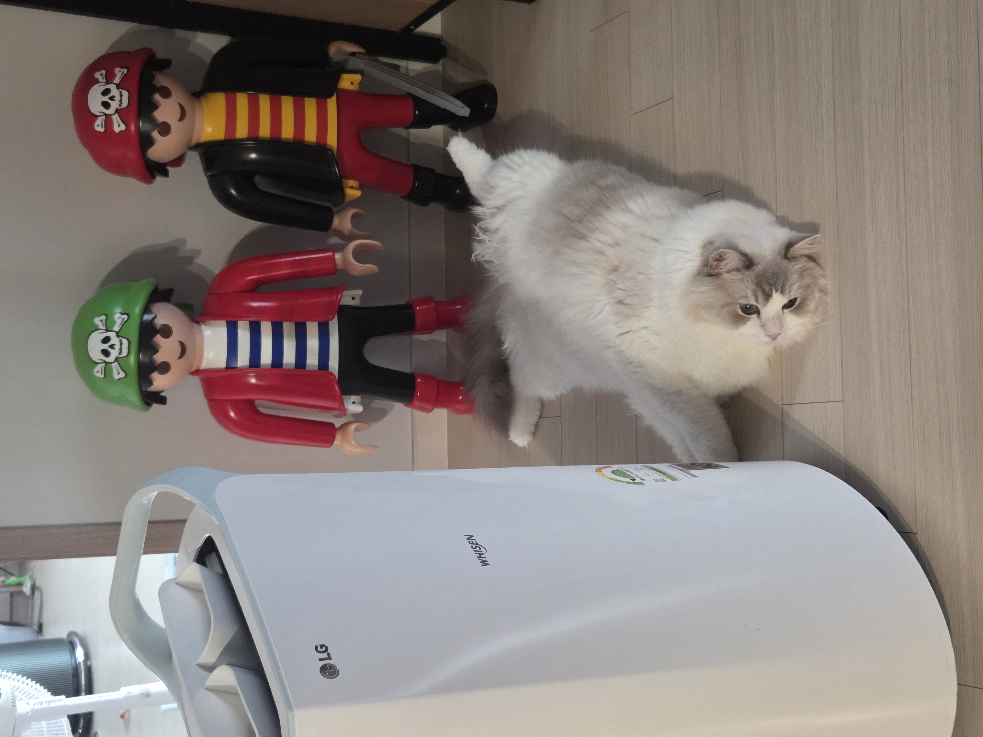 이미지