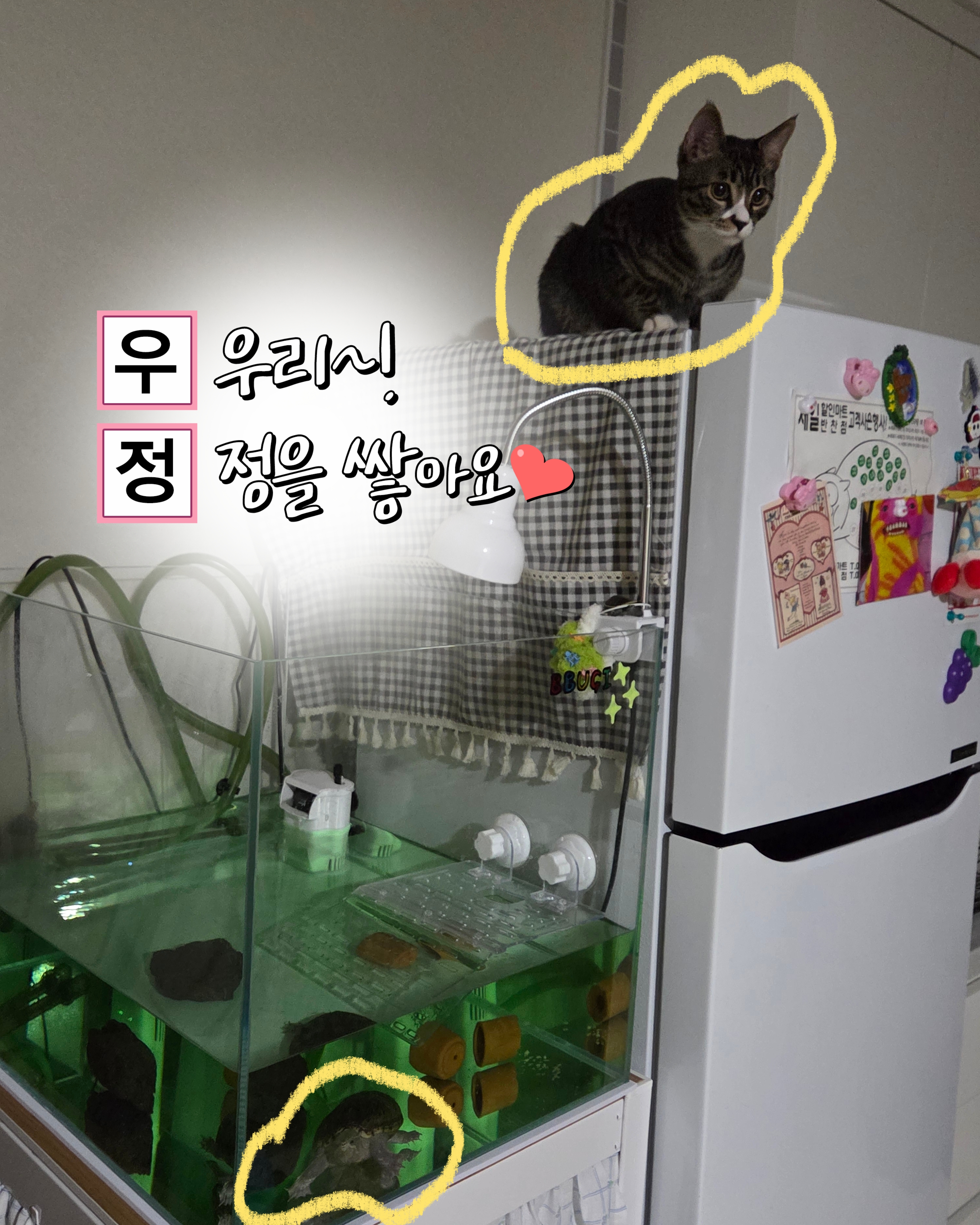이미지