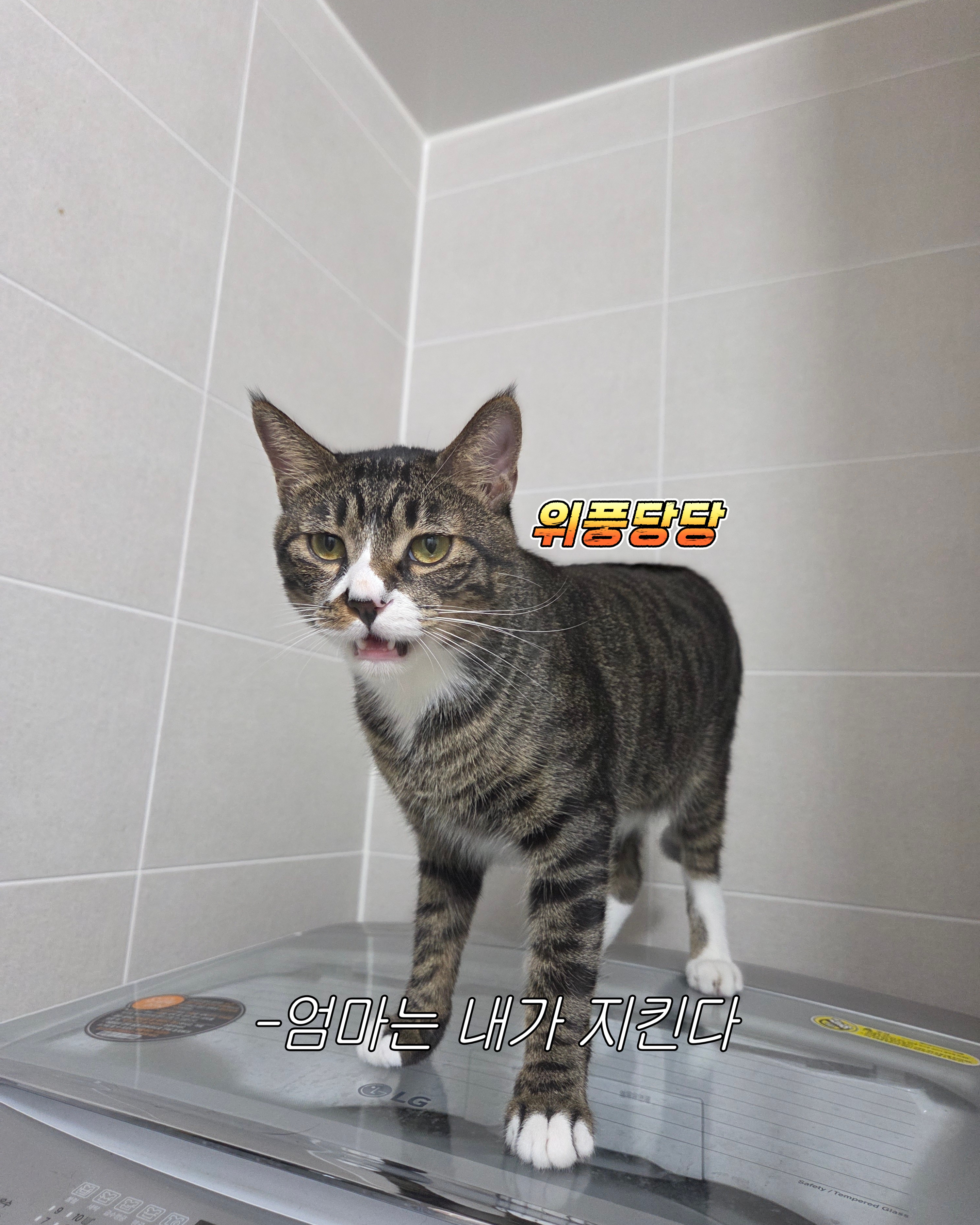 이미지