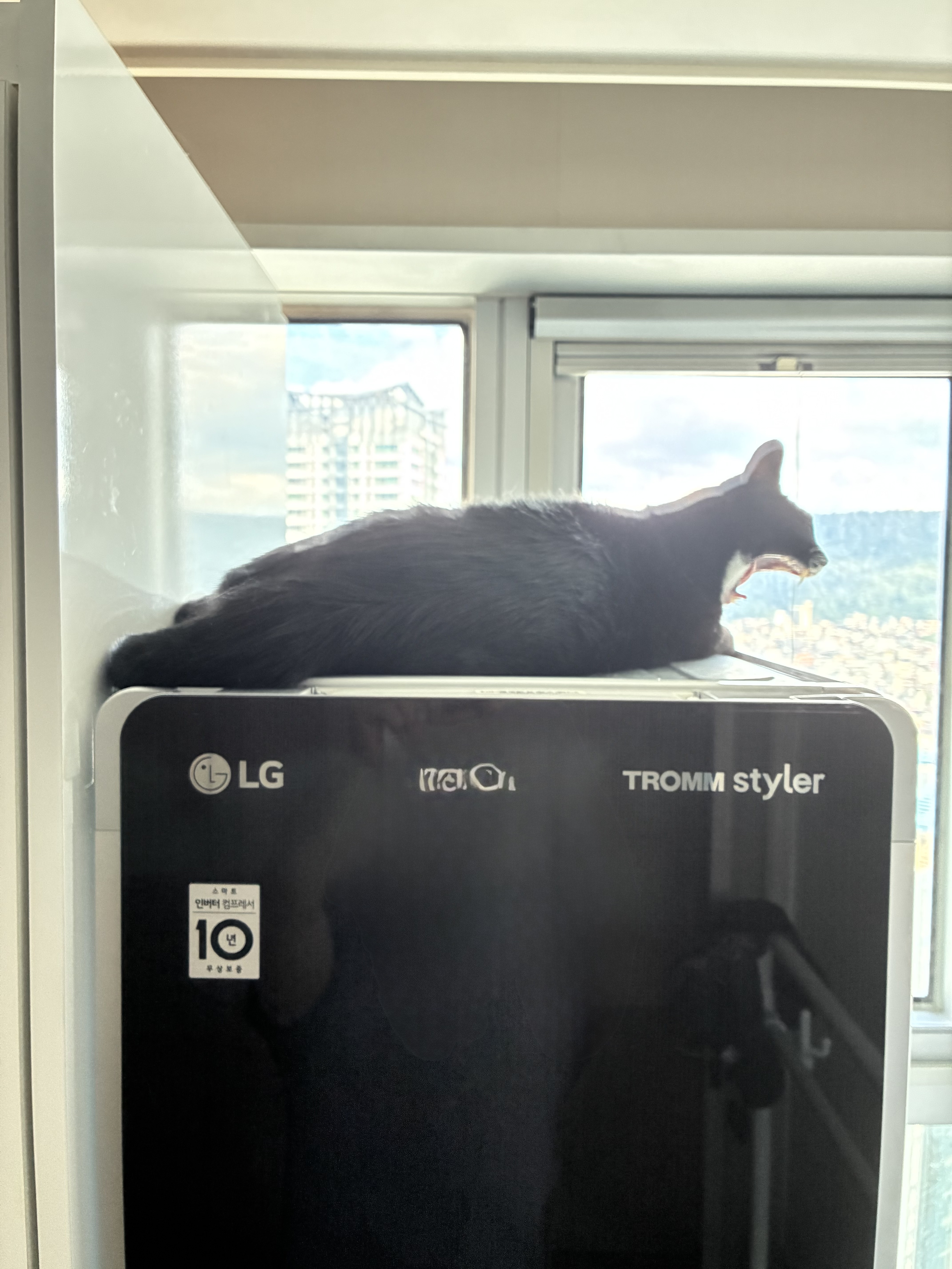 이미지