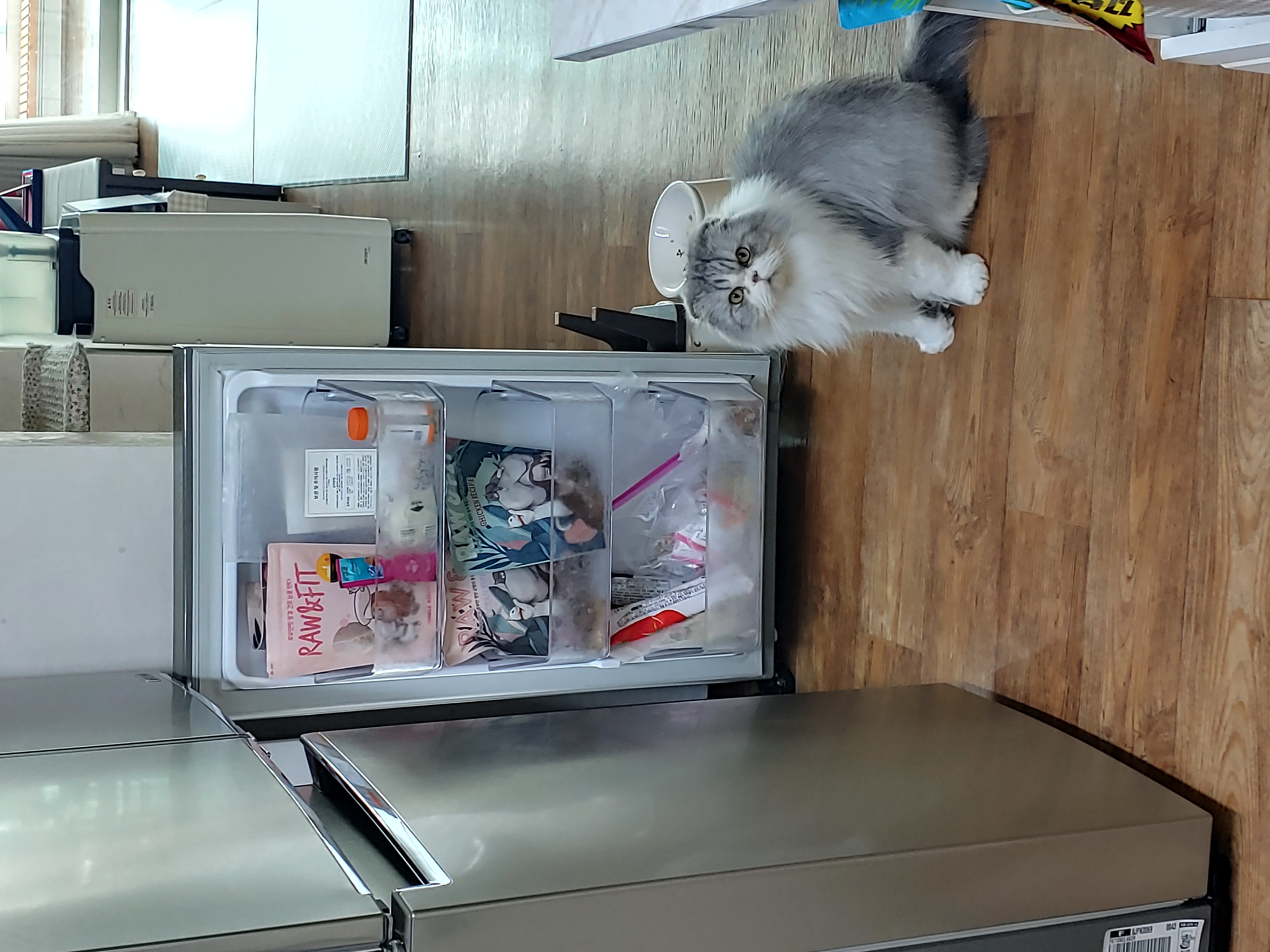 이미지