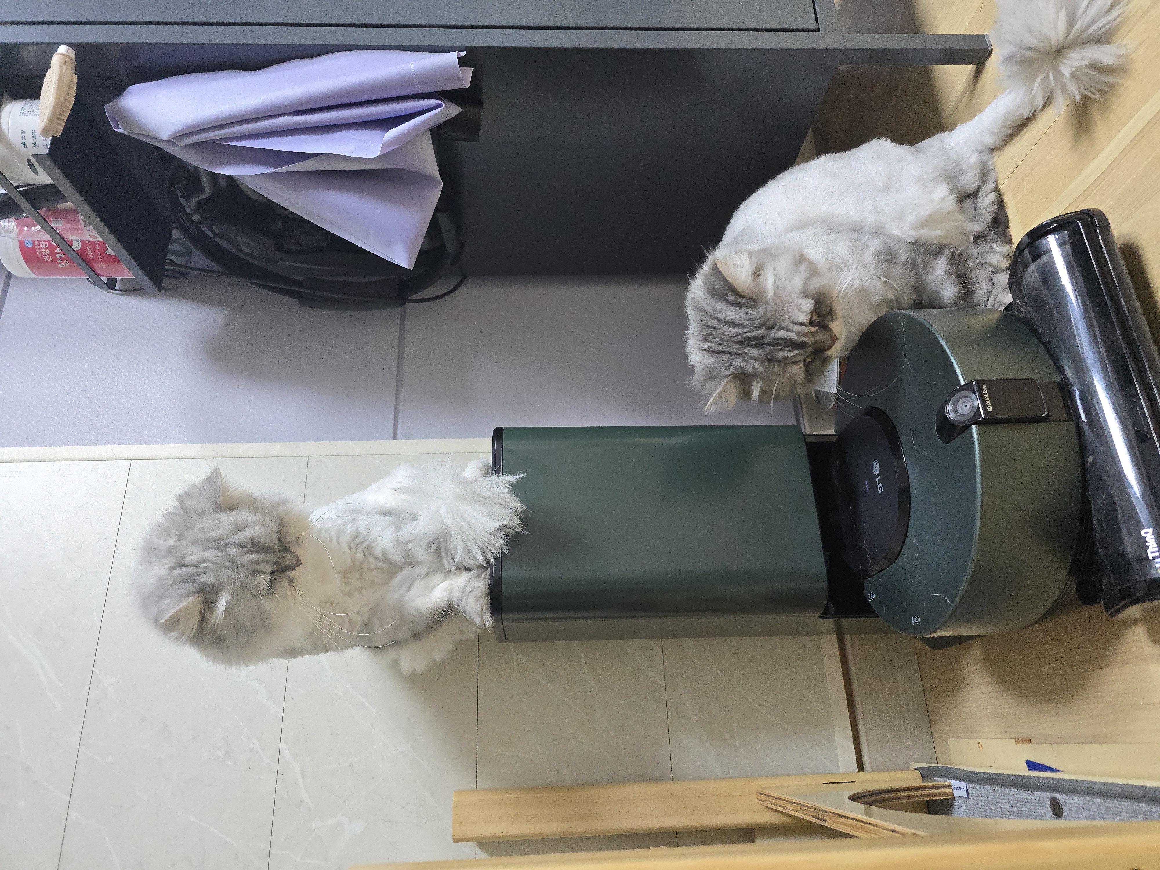 이미지