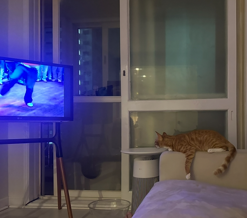 이미지