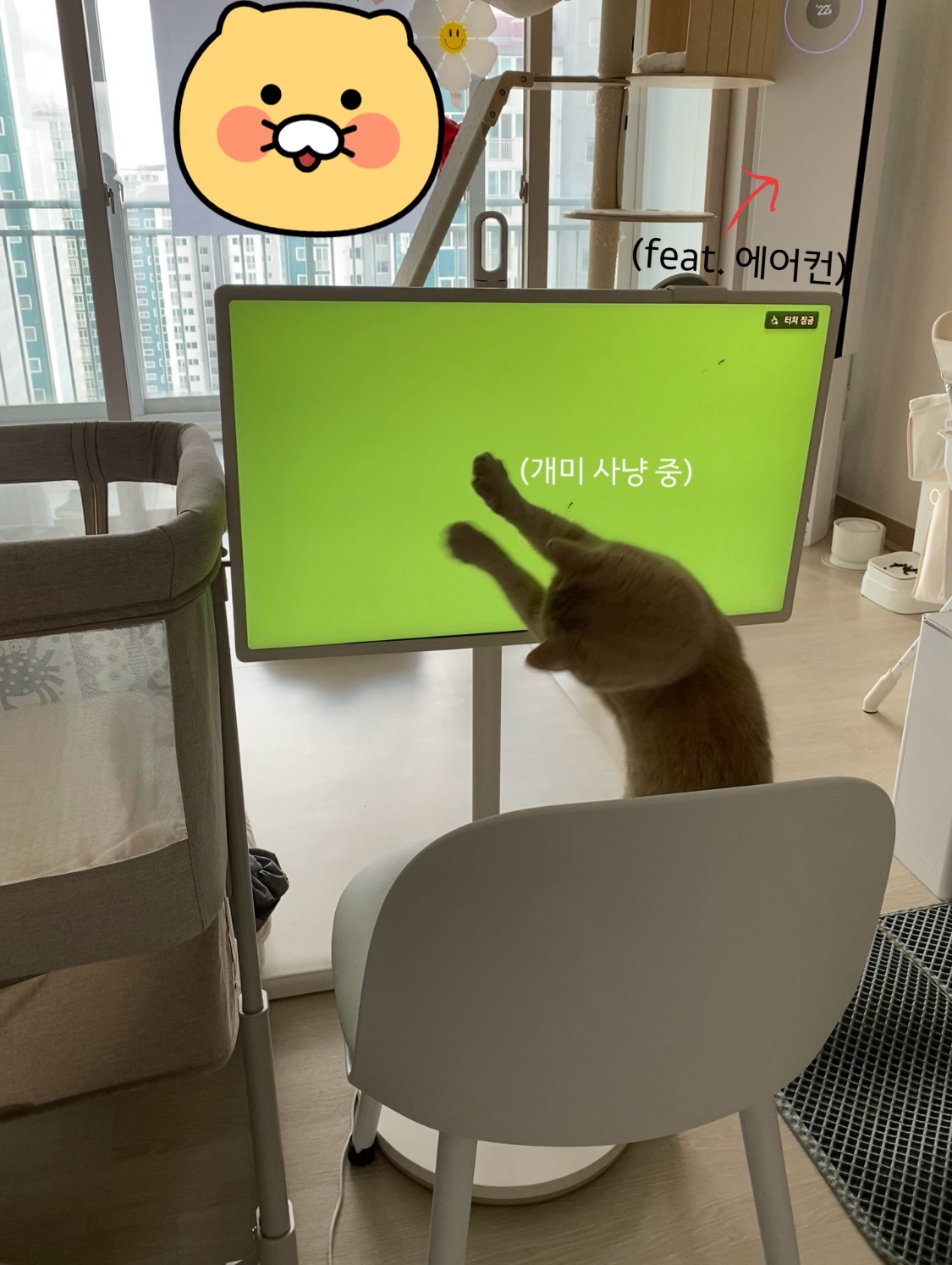 이미지