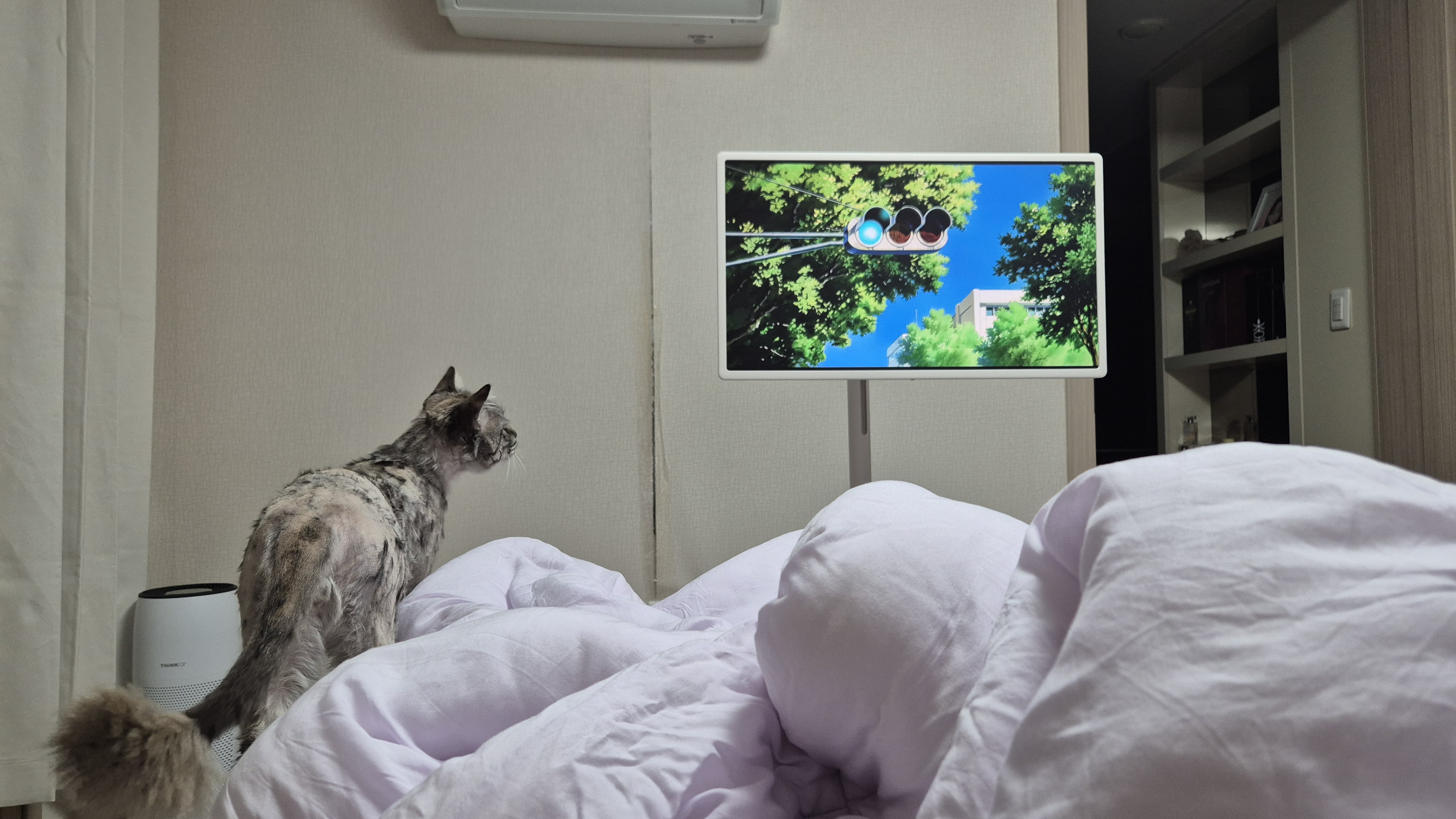 이미지