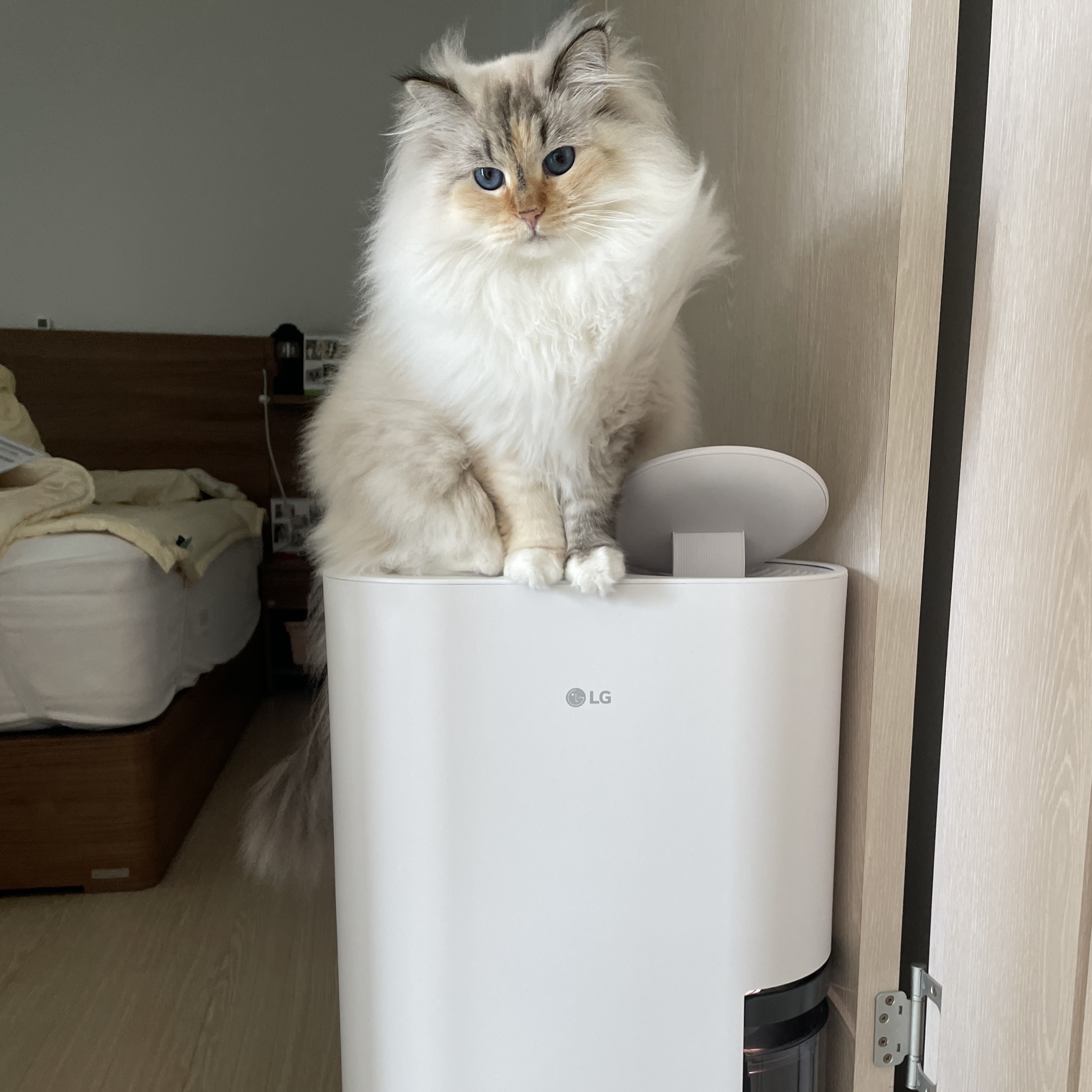 이미지