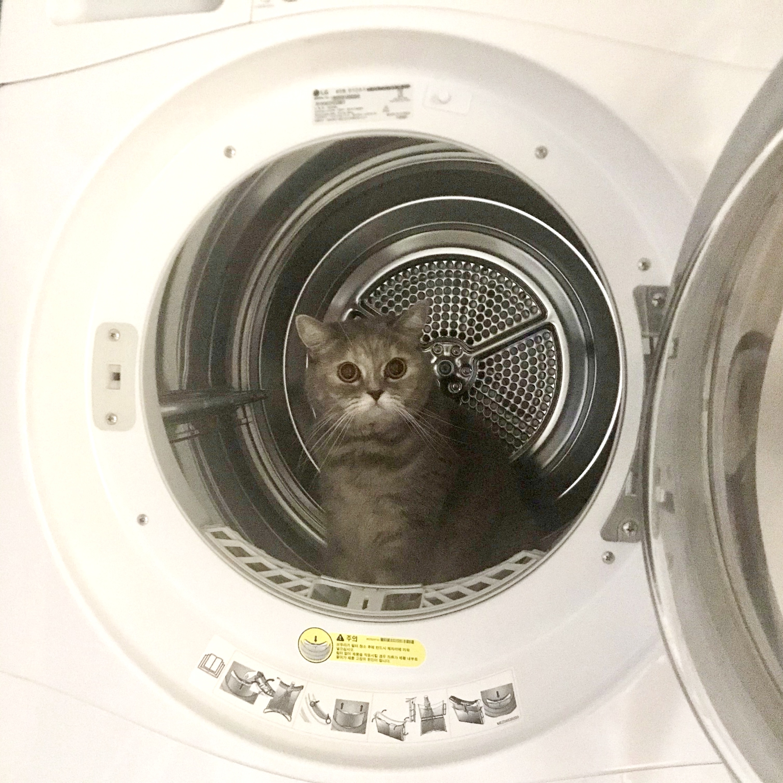 이미지