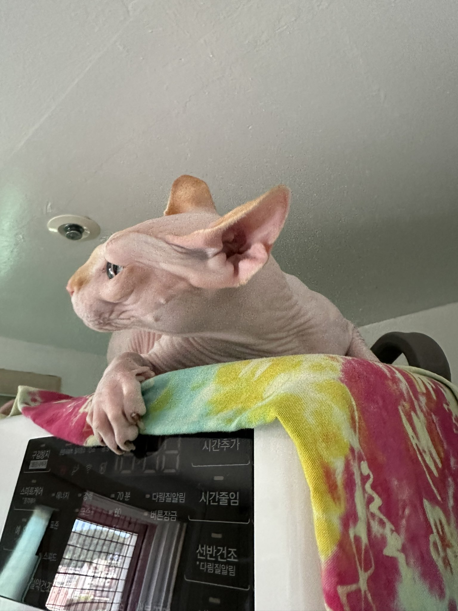 이미지