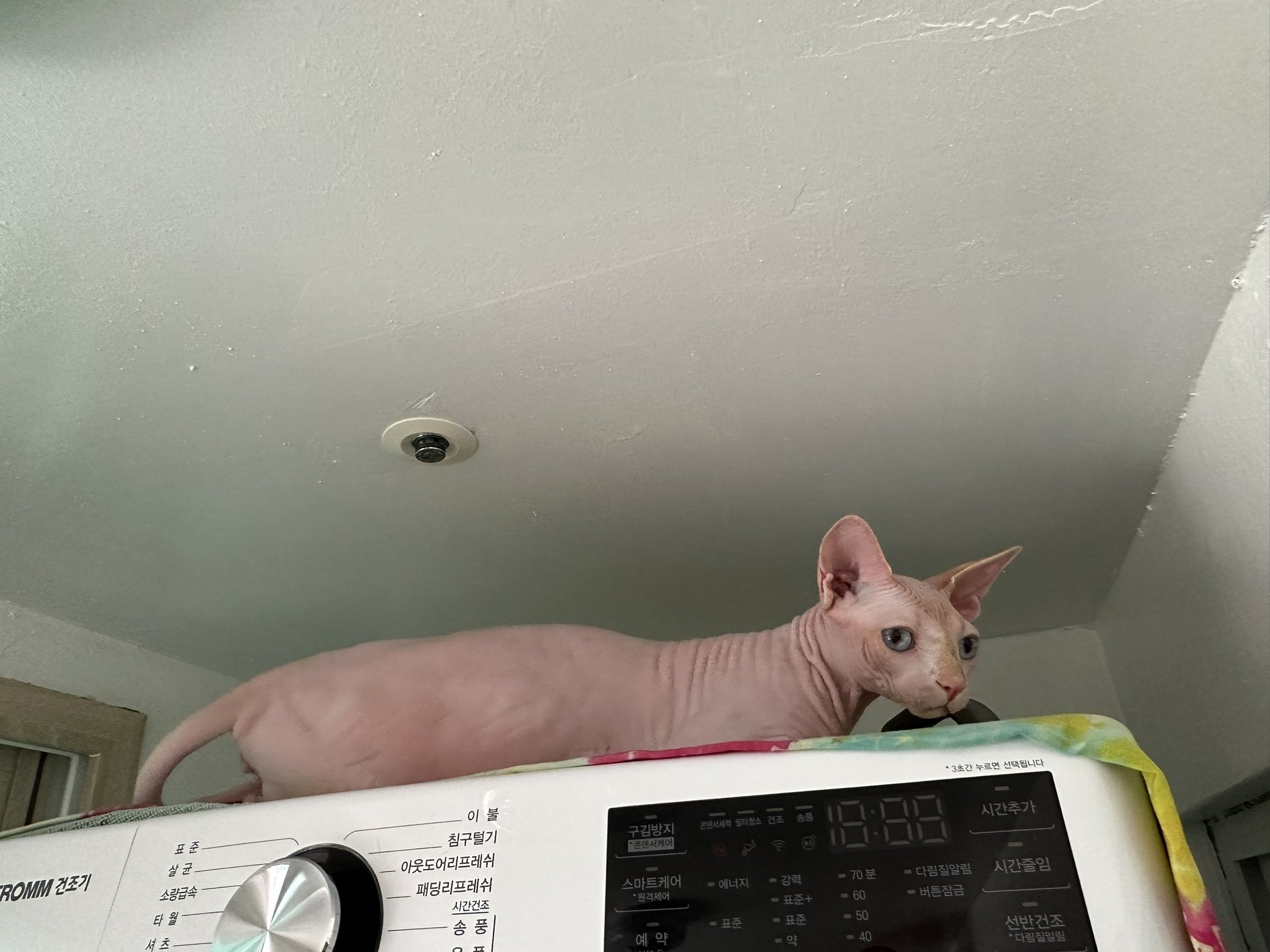 이미지