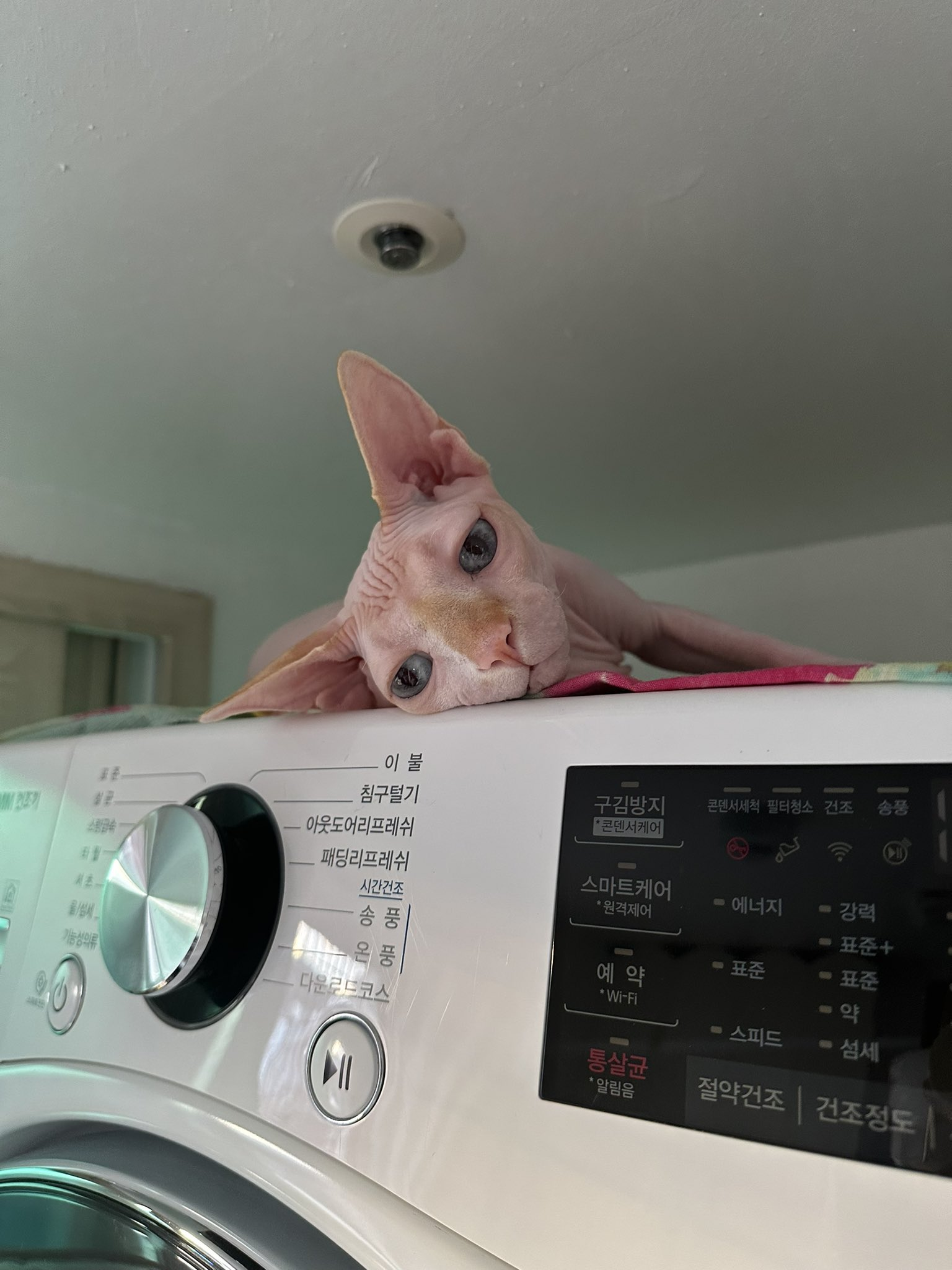 이미지