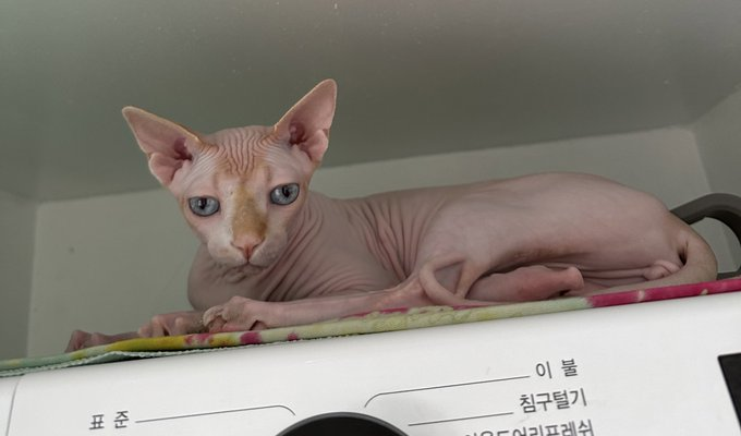 이미지