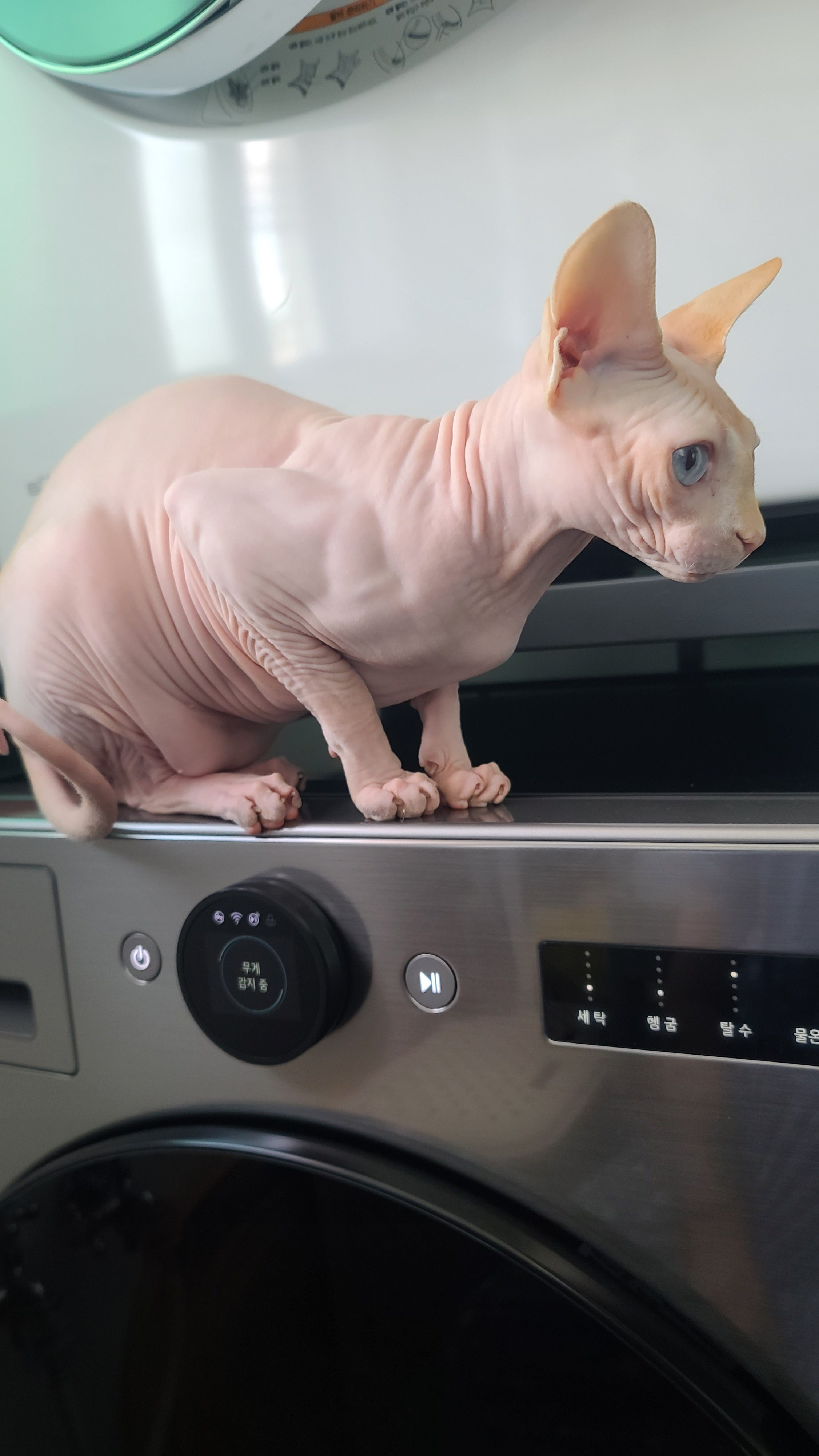 이미지