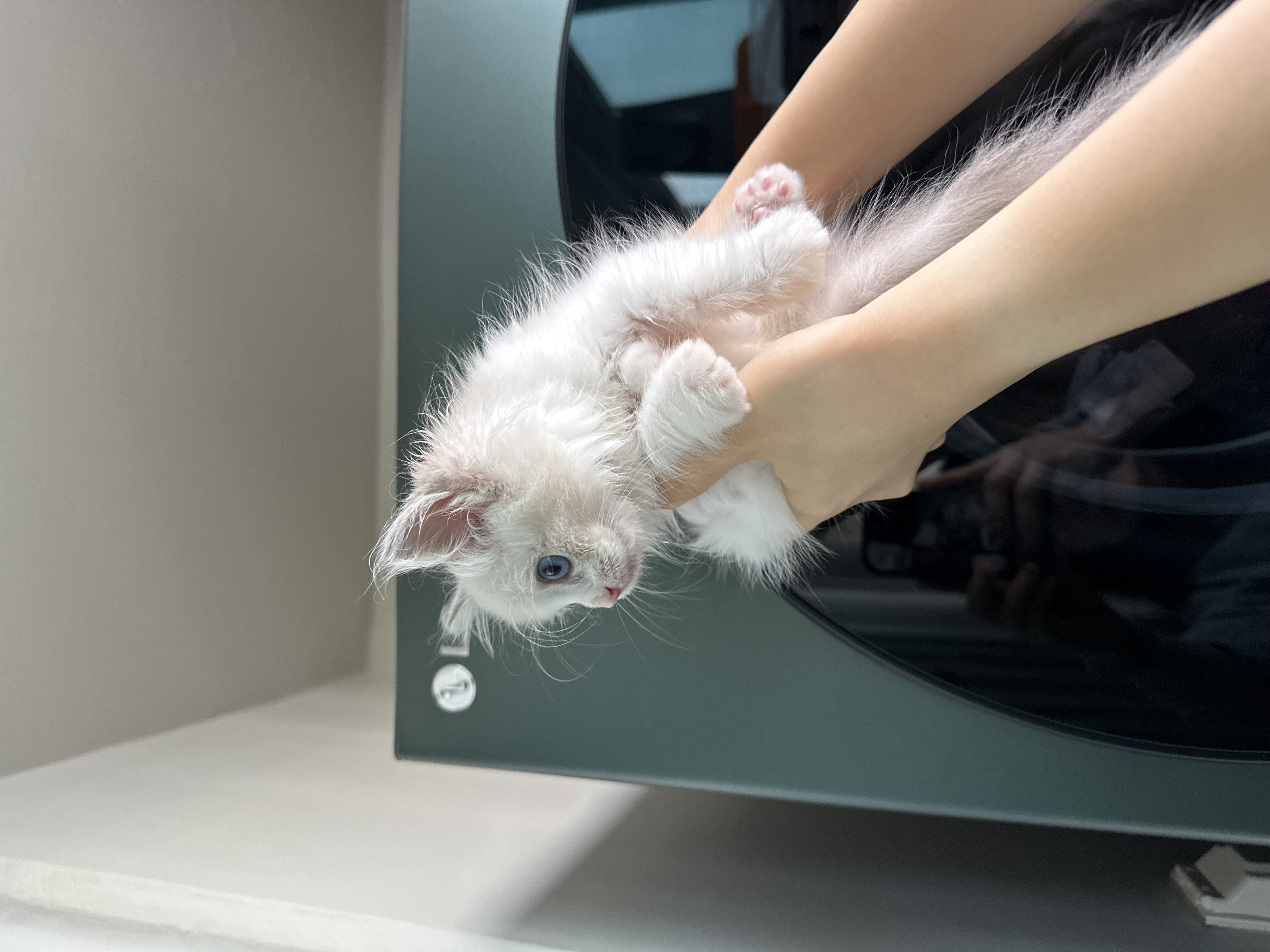 이미지