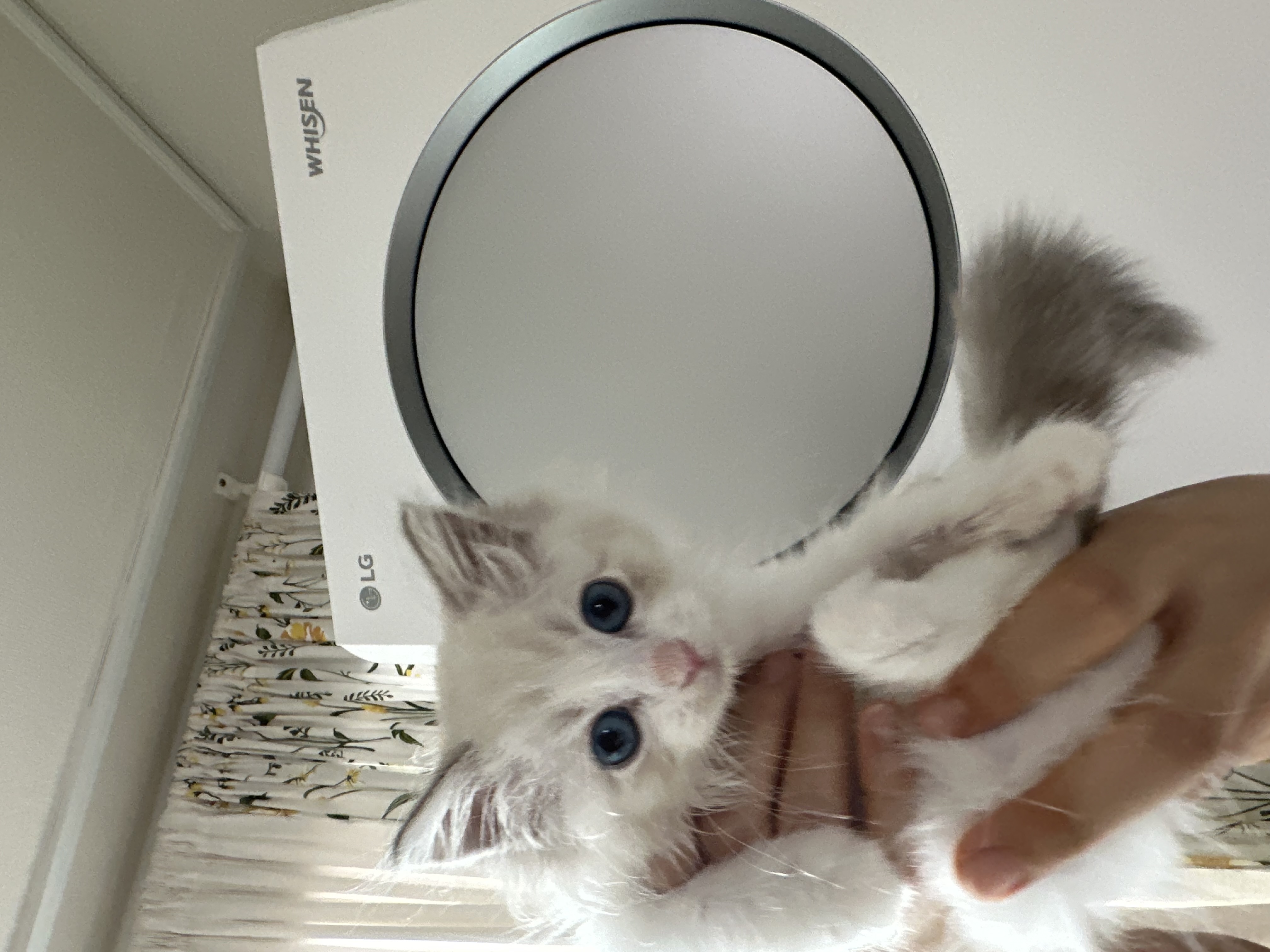 이미지