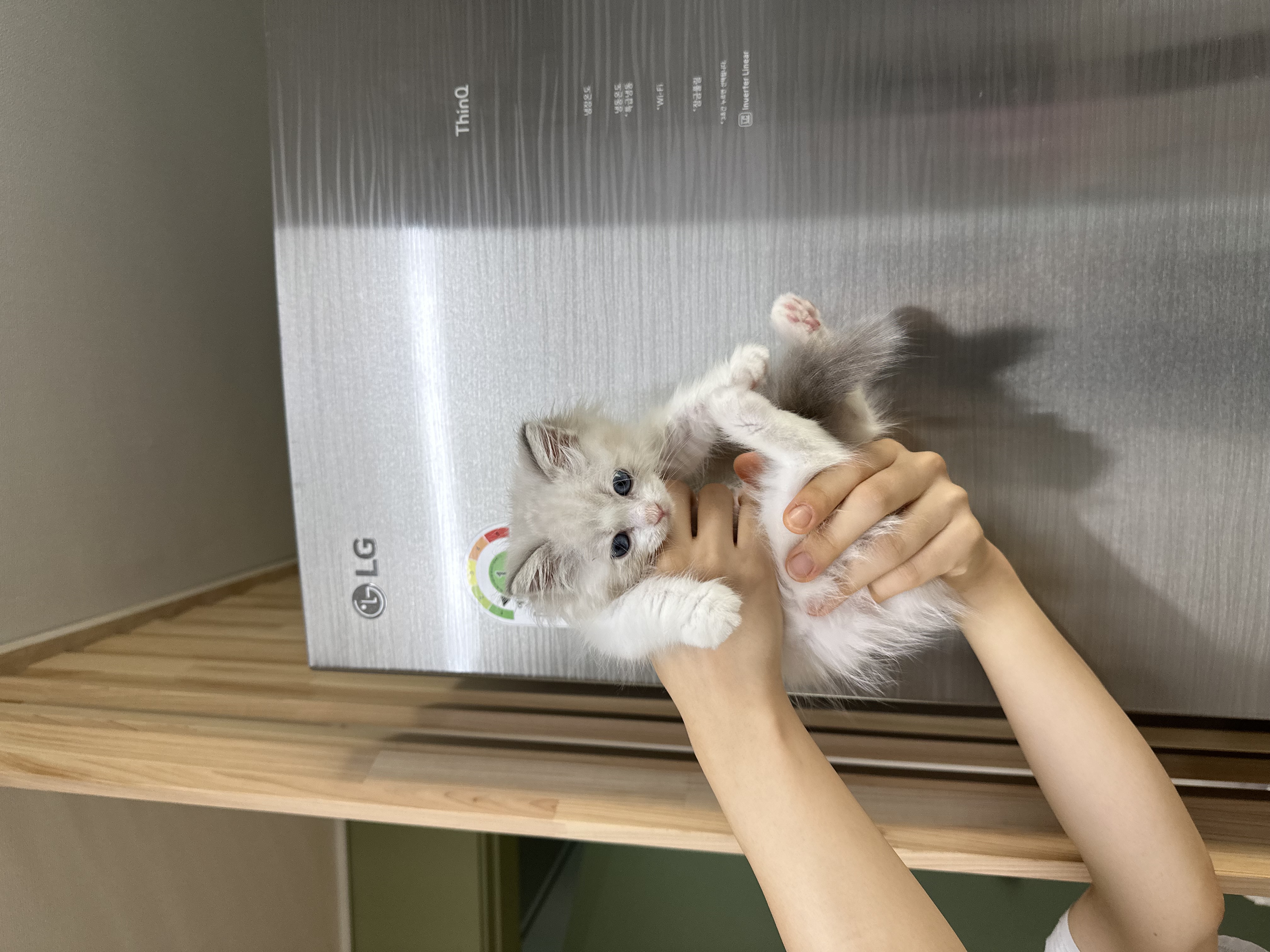이미지