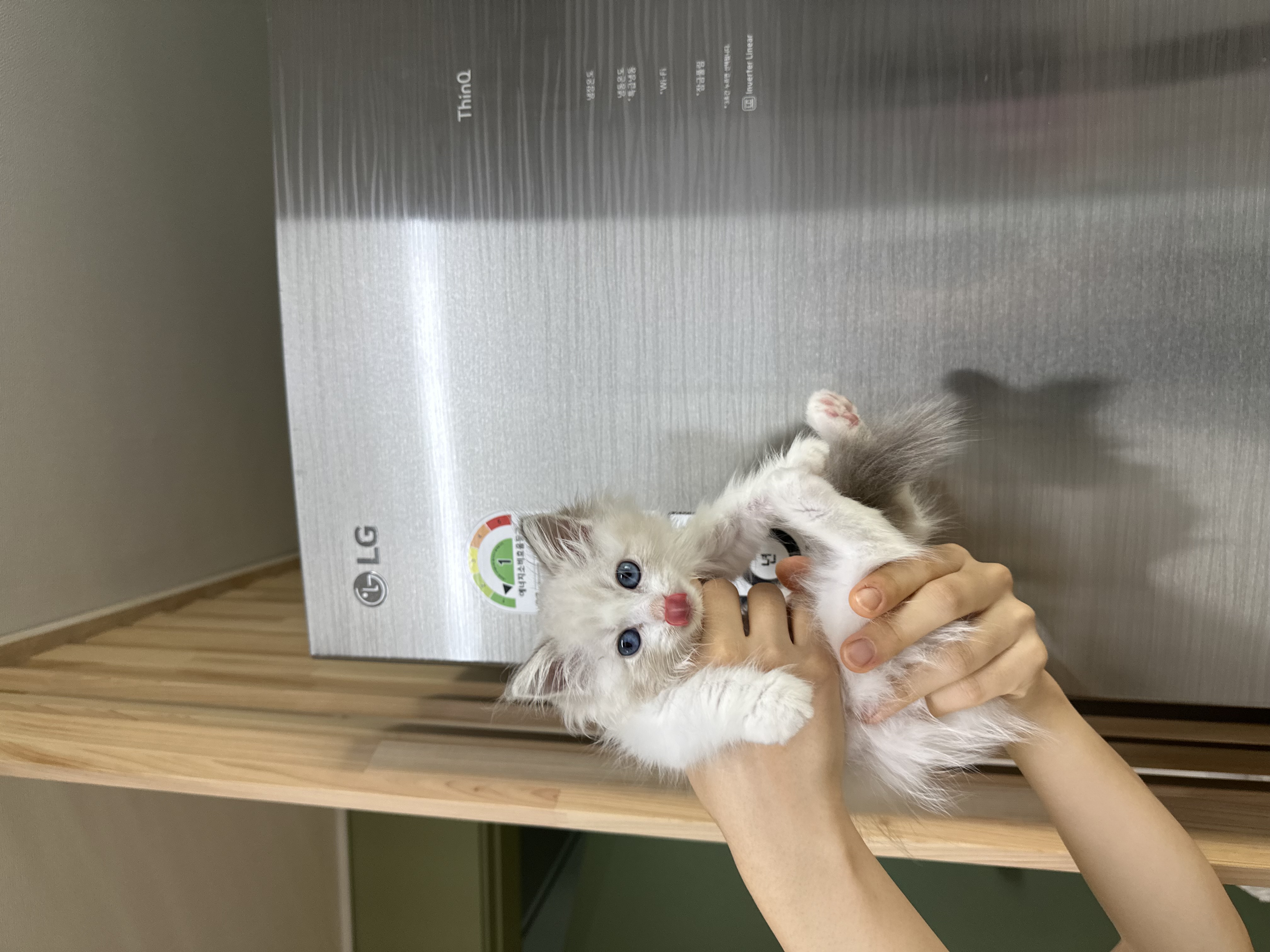이미지
