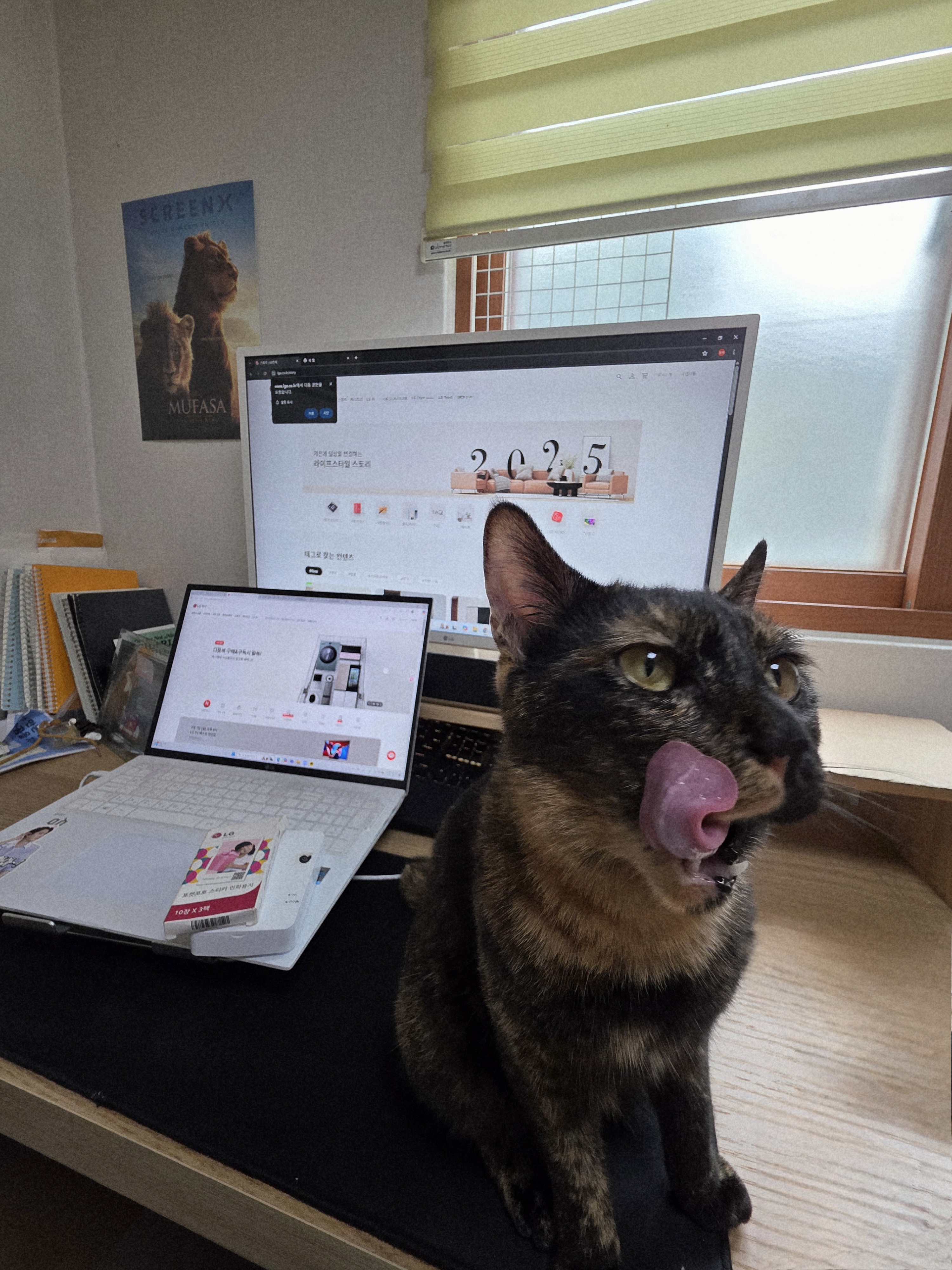 이미지