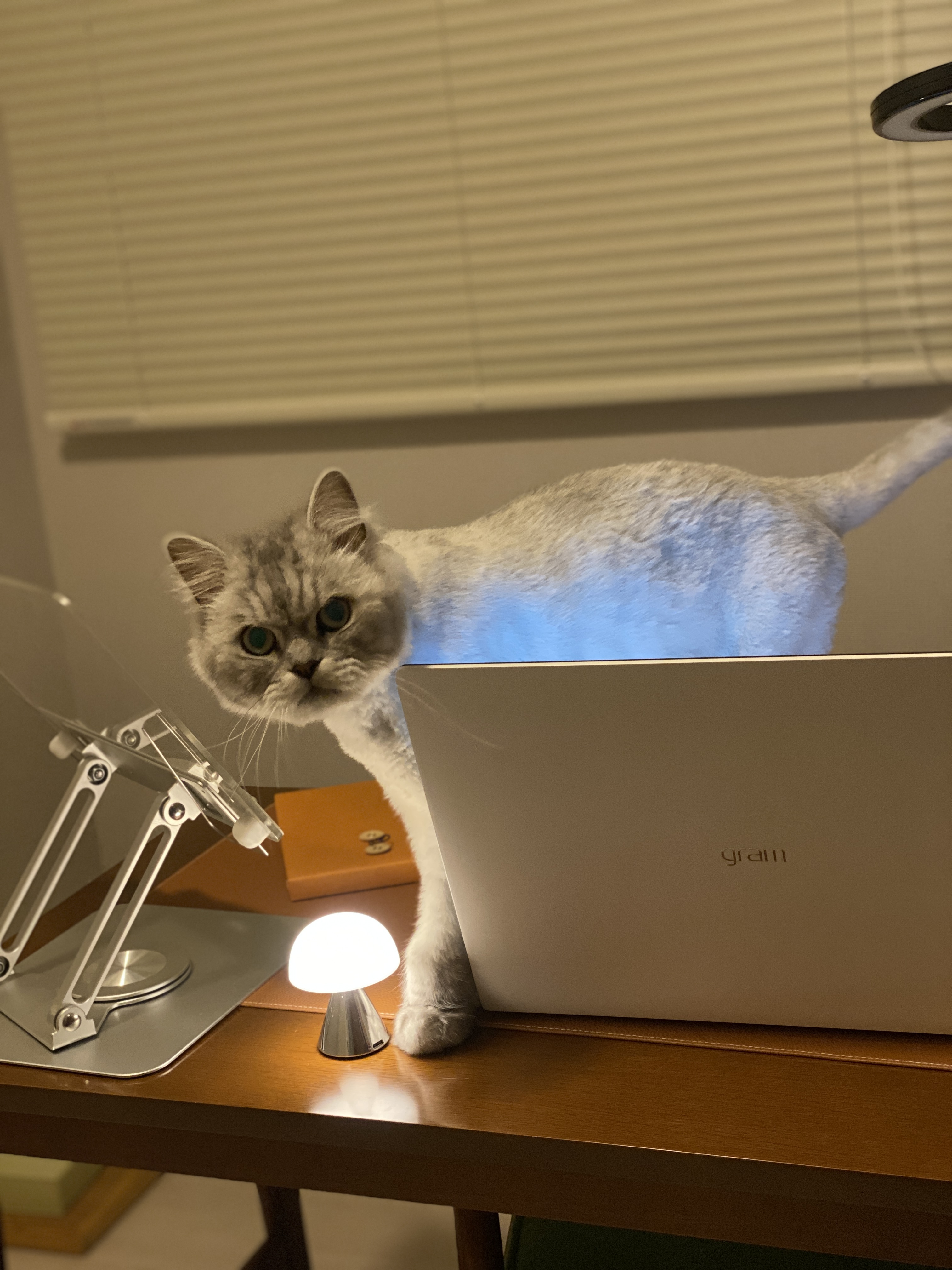 이미지
