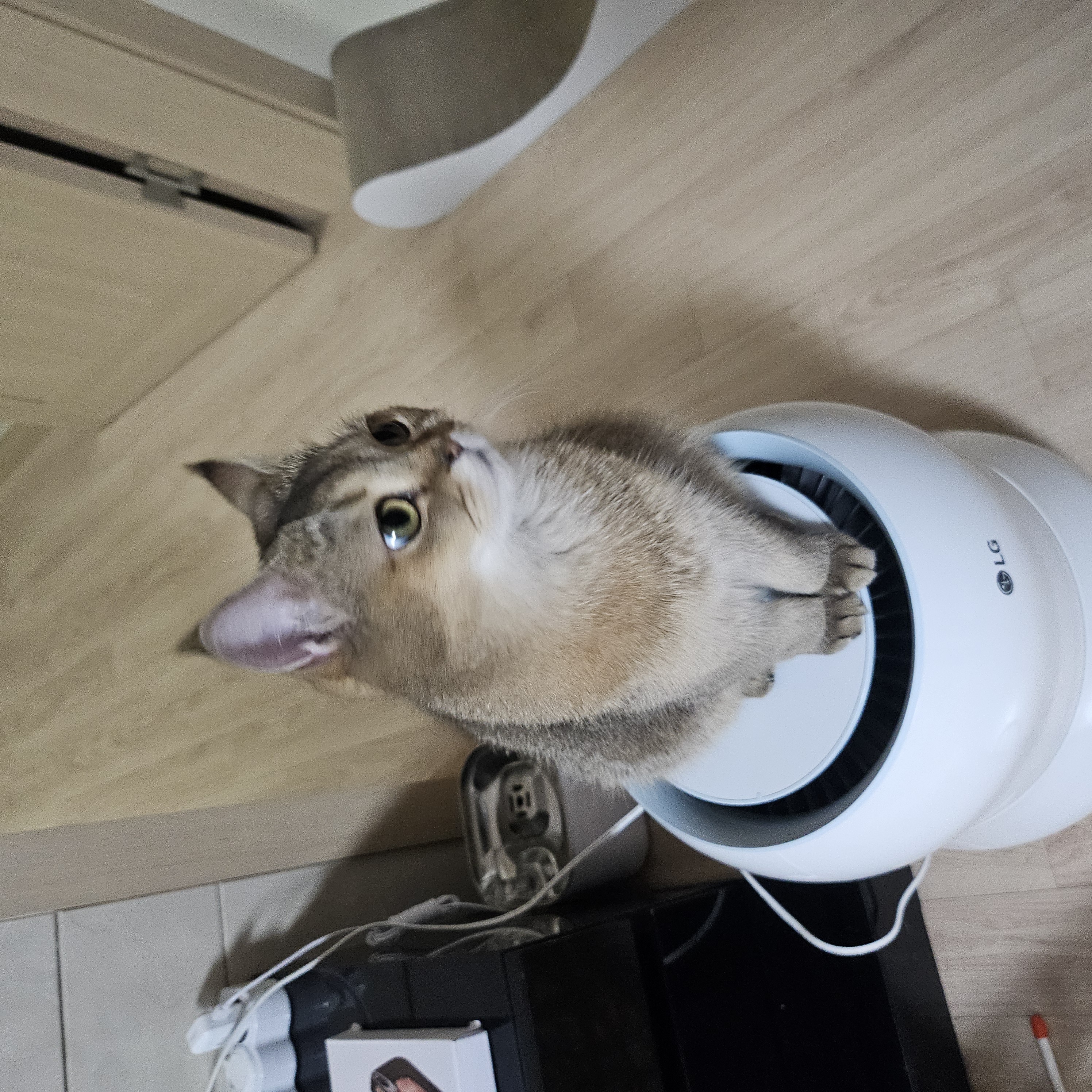 이미지