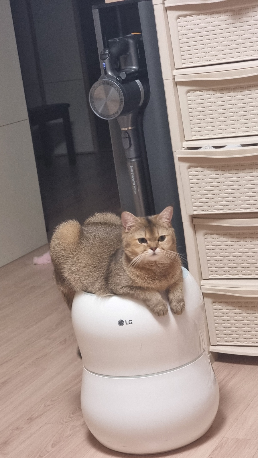 이미지