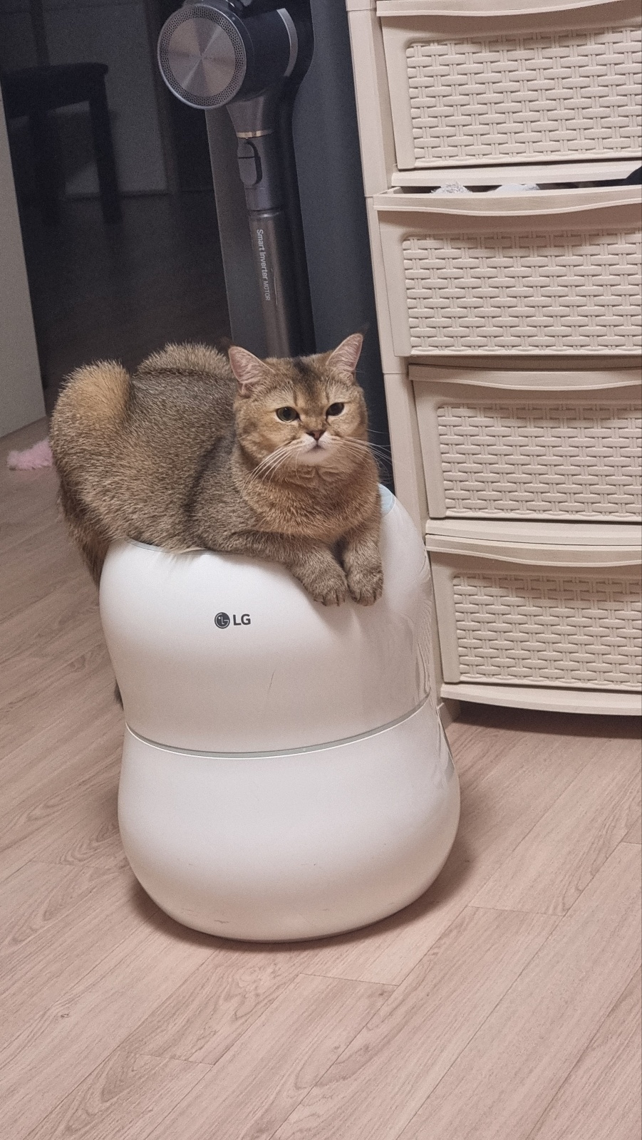 이미지