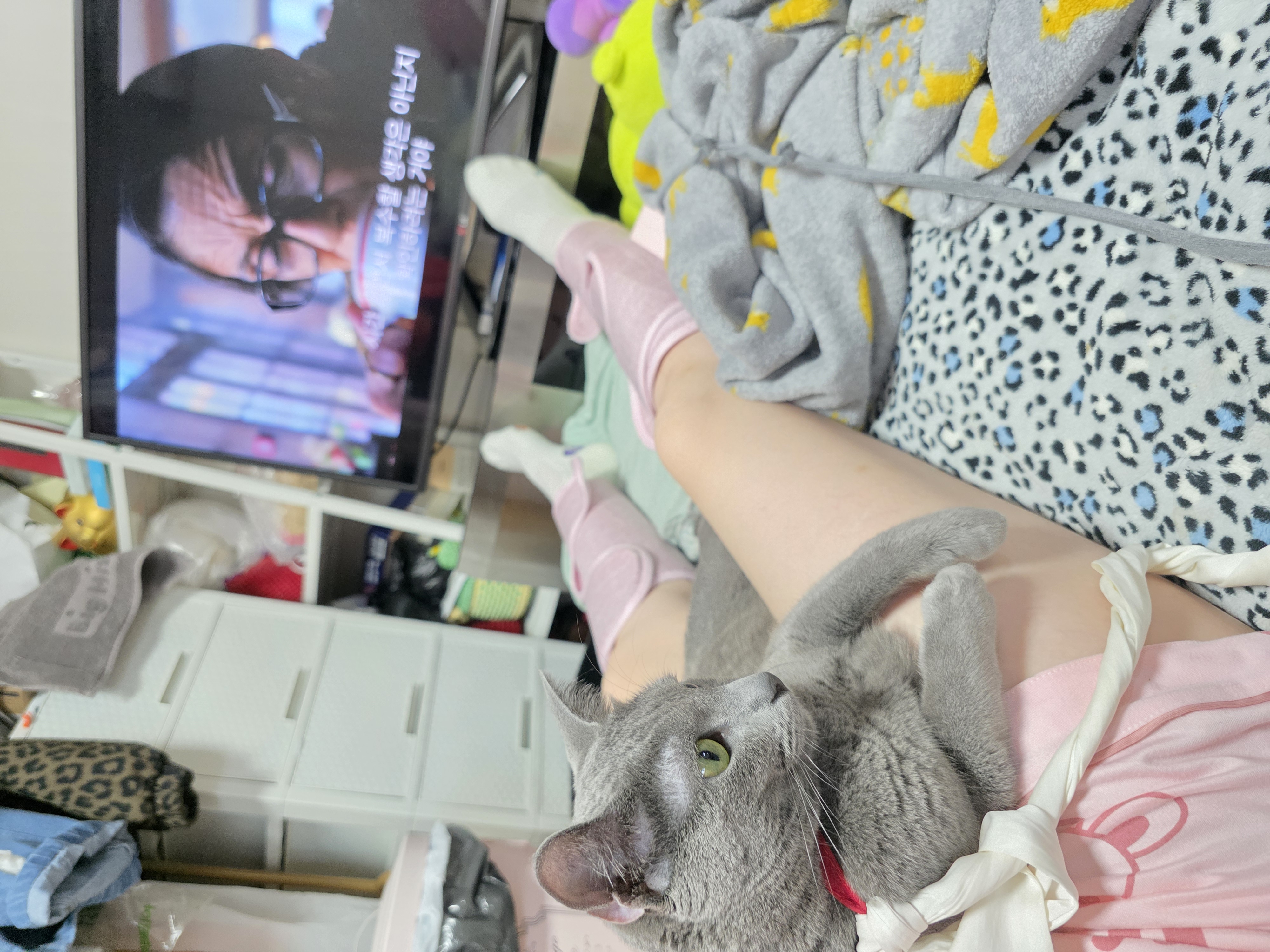 이미지
