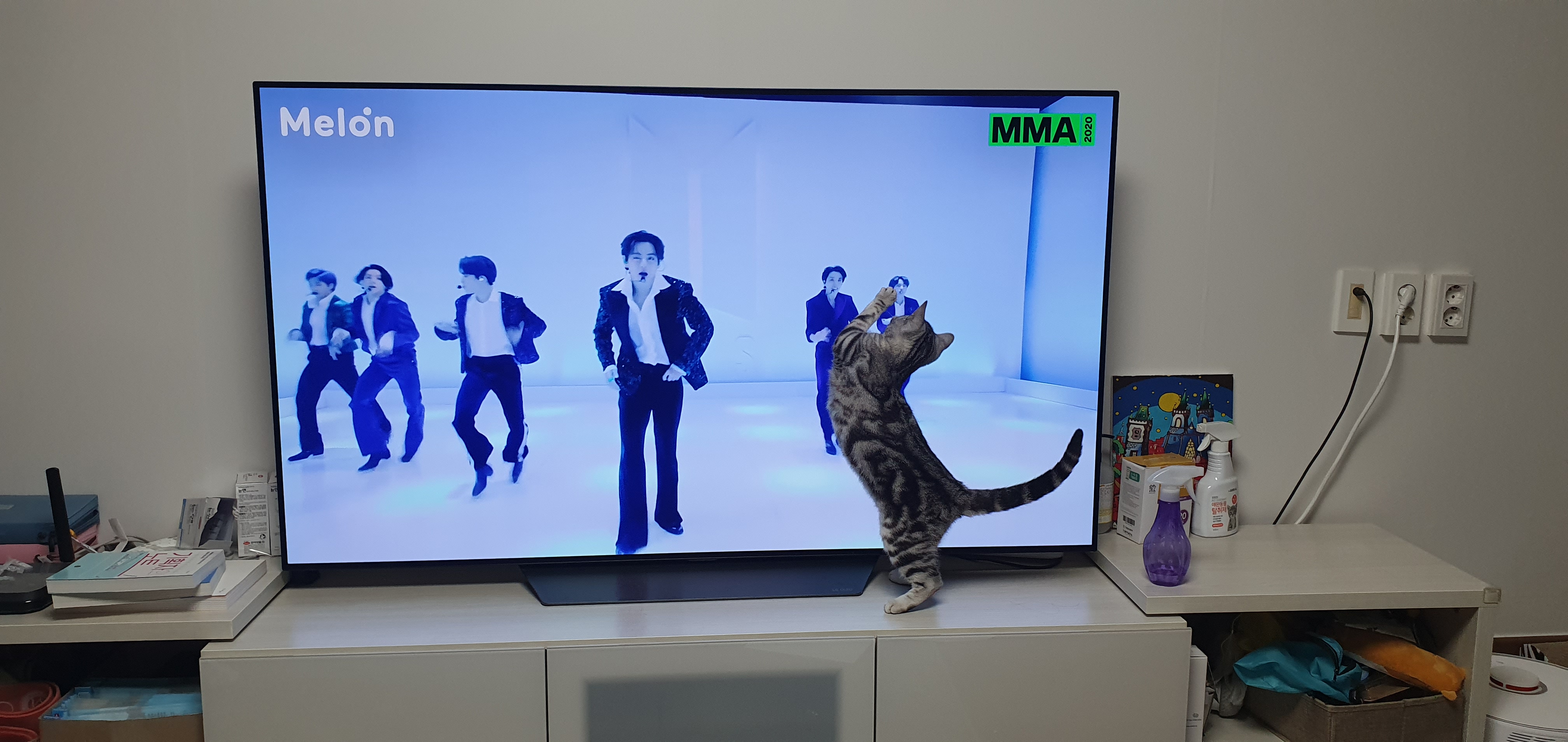 이미지