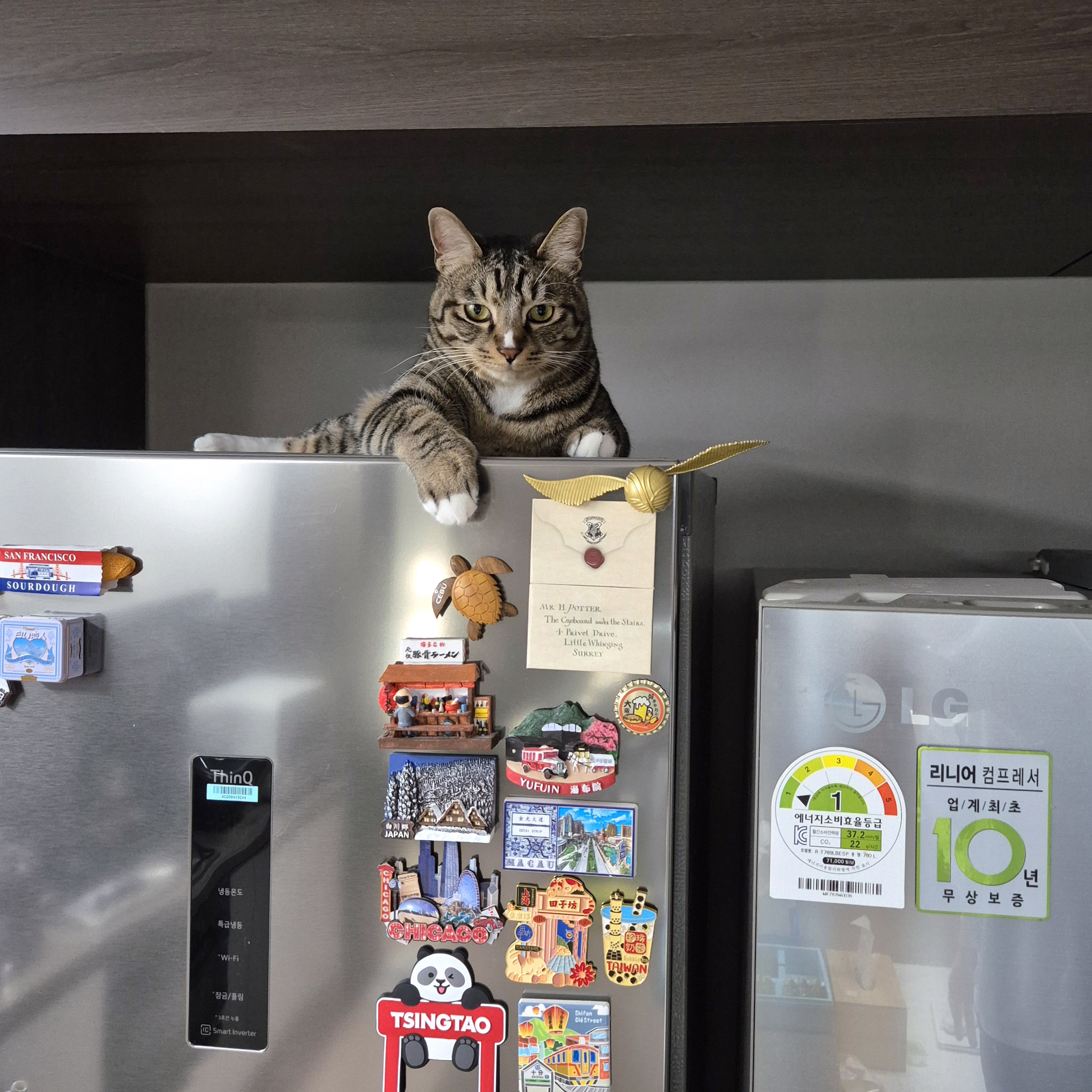 이미지