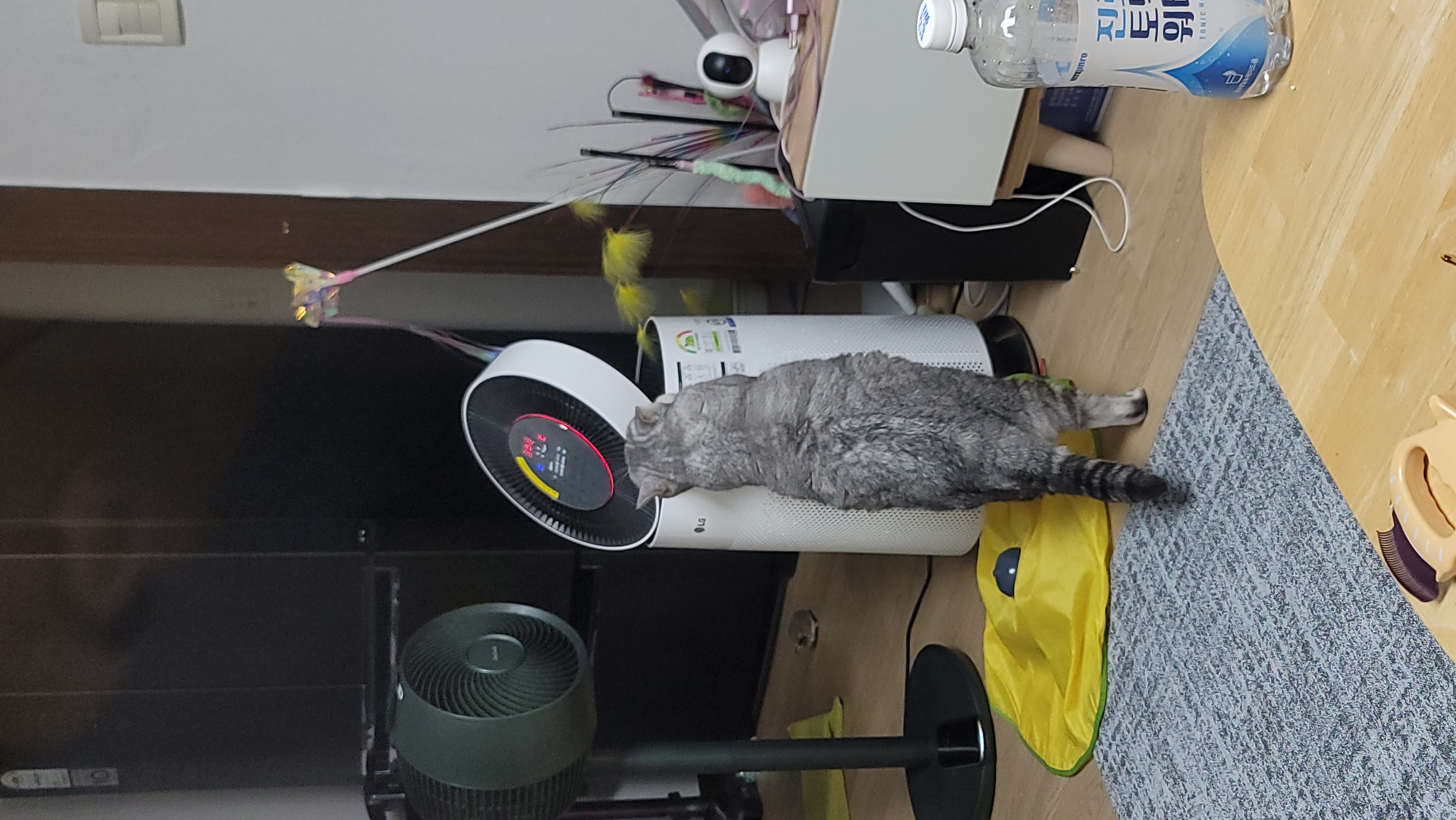이미지