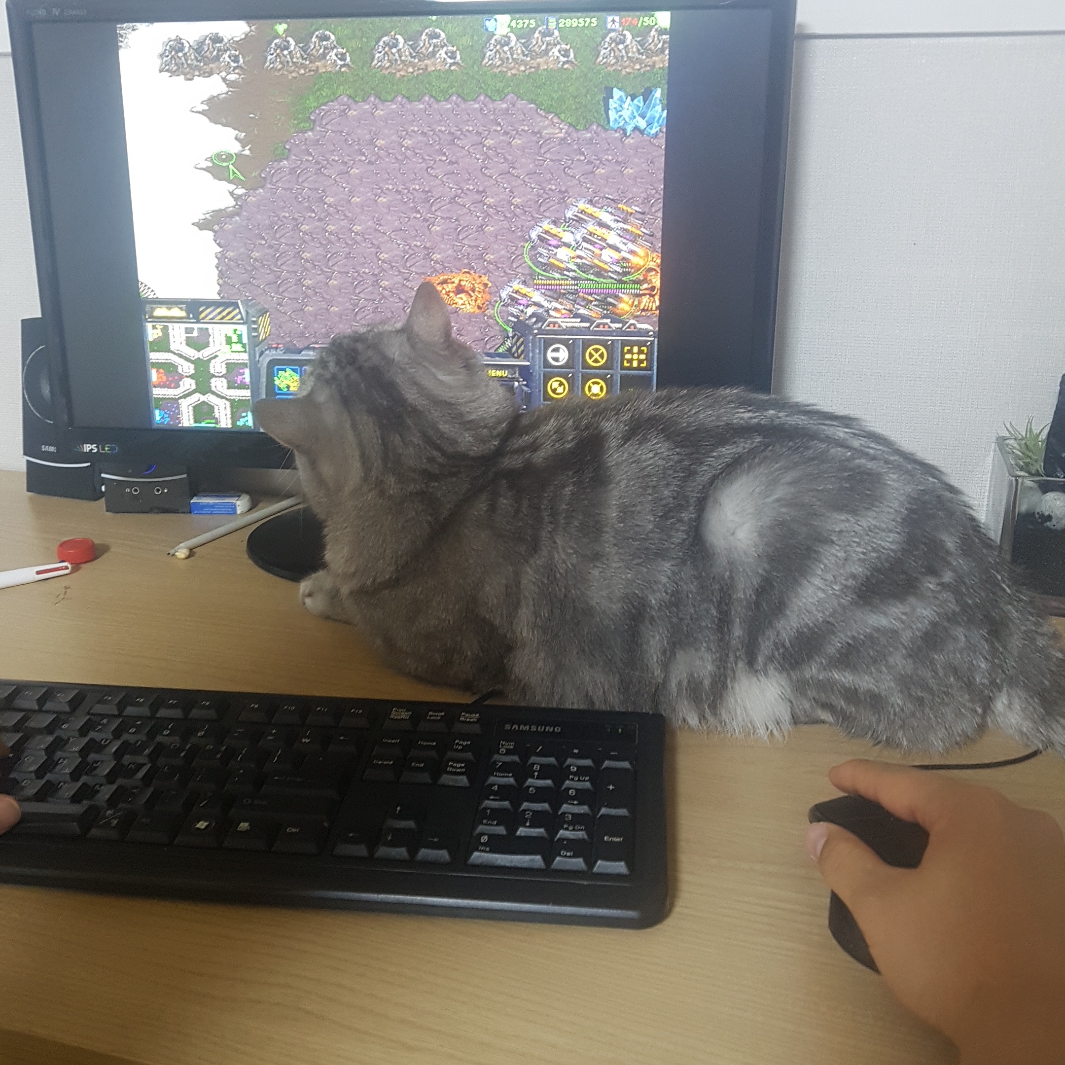 이미지