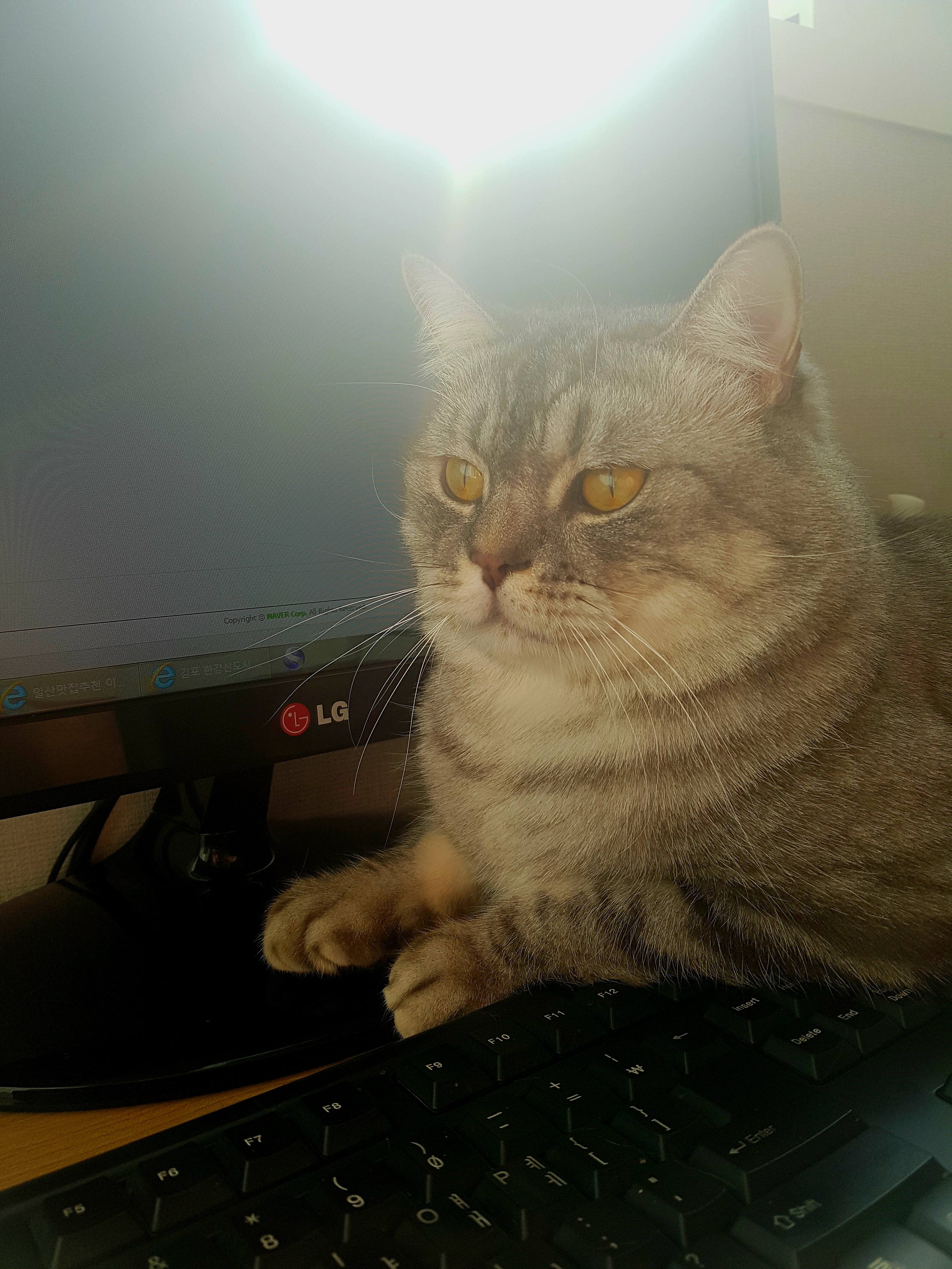 이미지