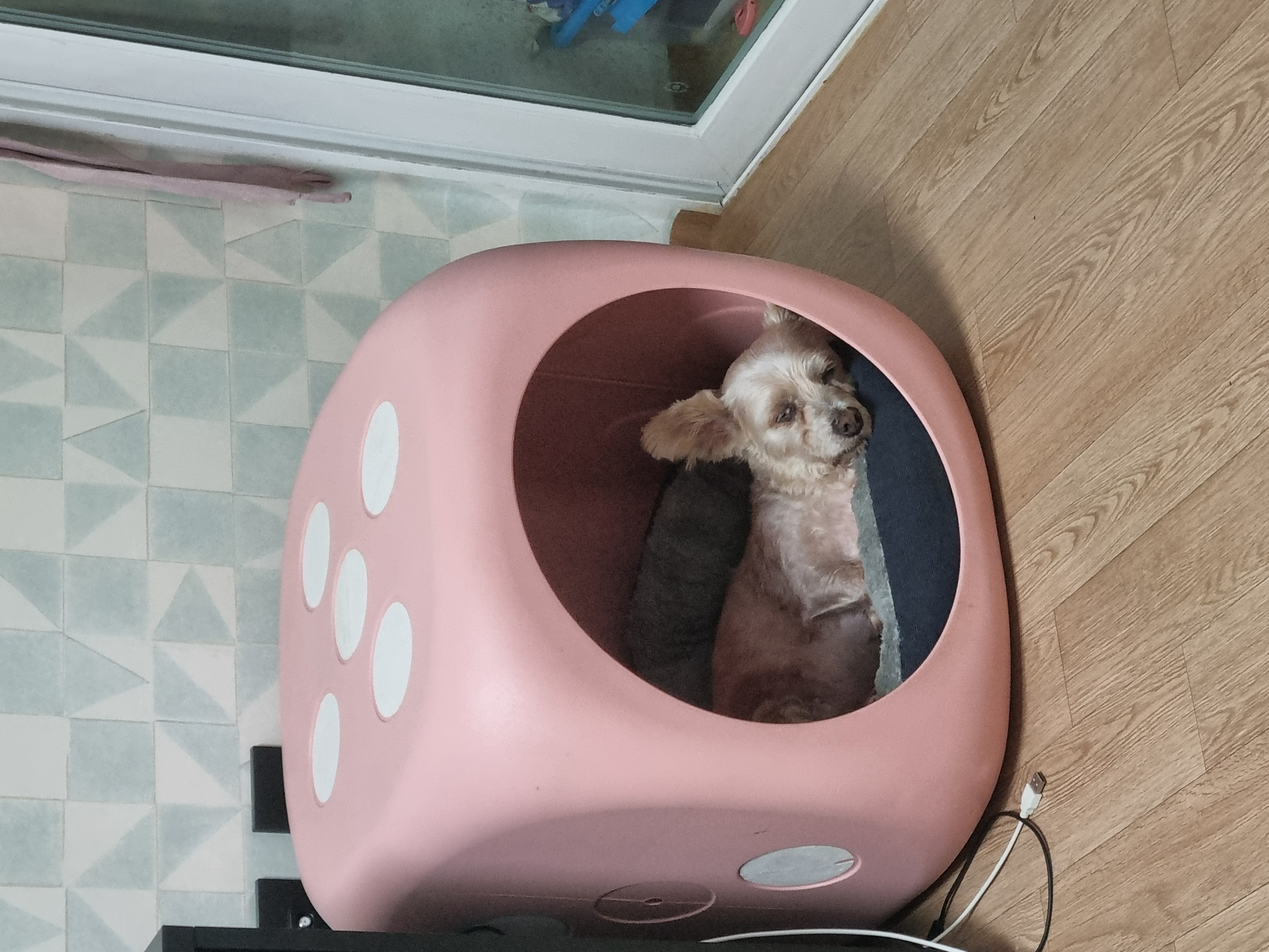 이미지
