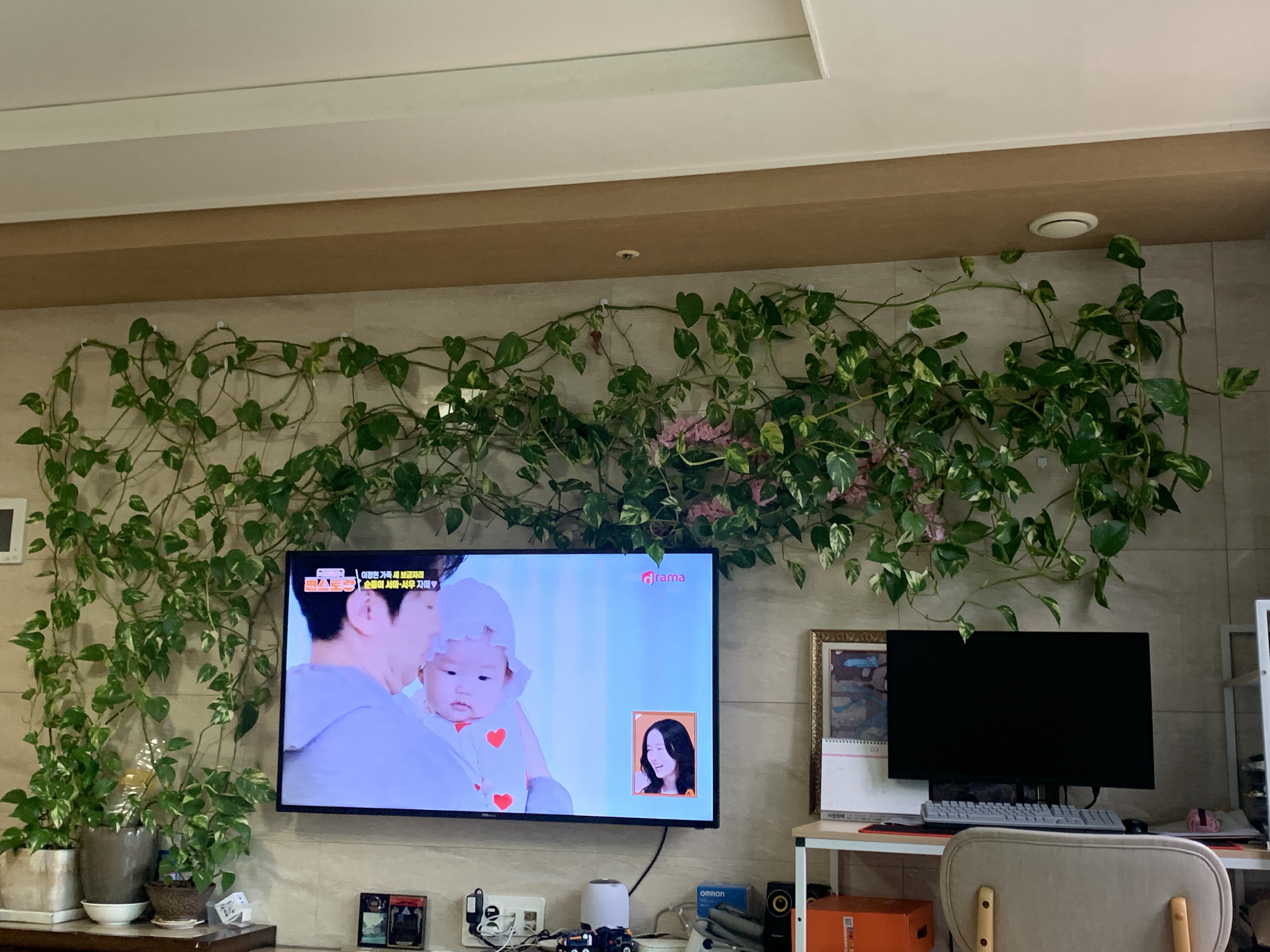 이미지