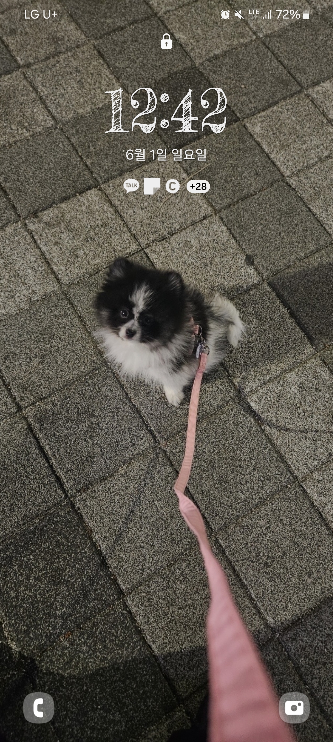 이미지