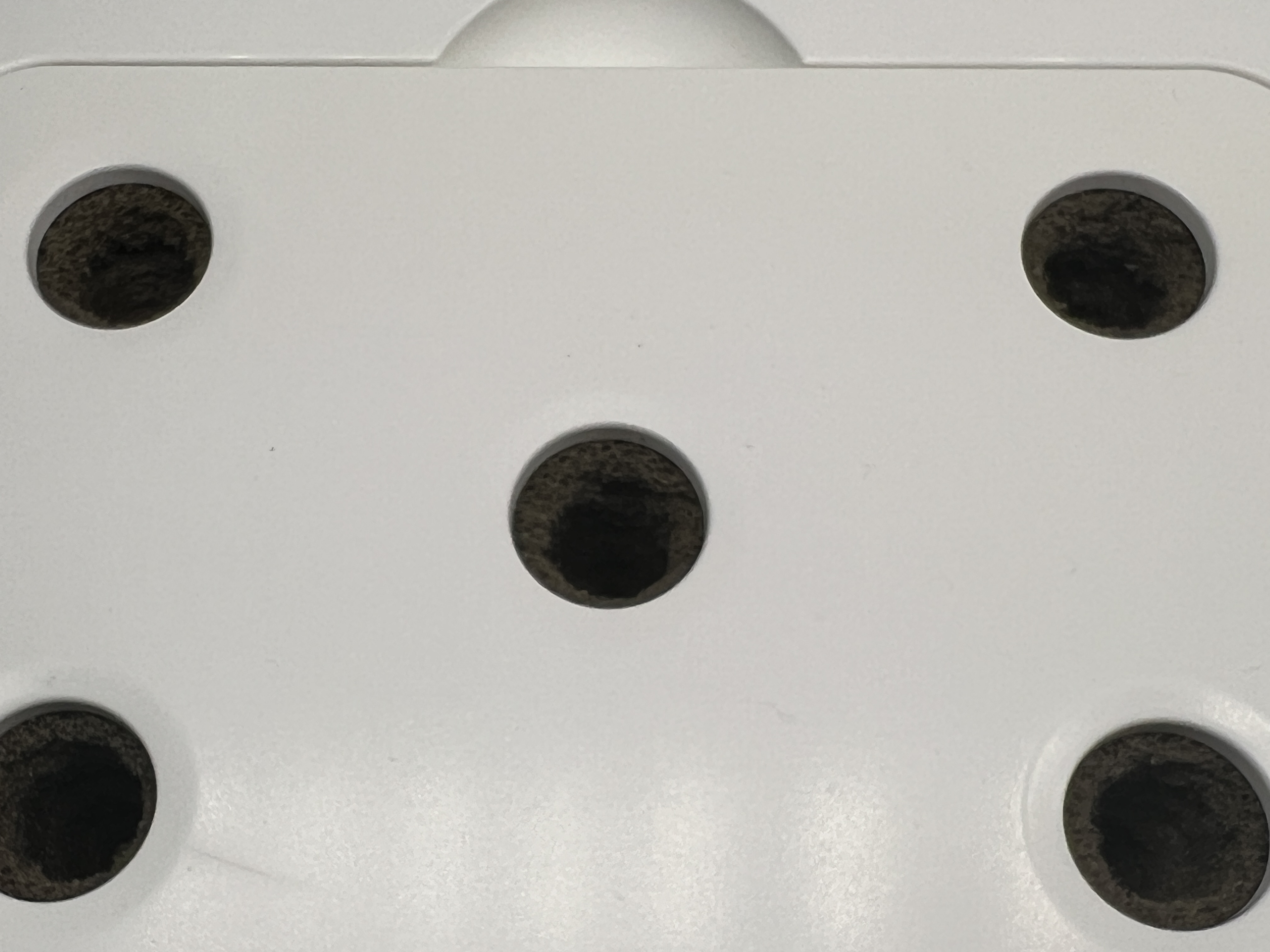 틔운 다시 시작!!!!!