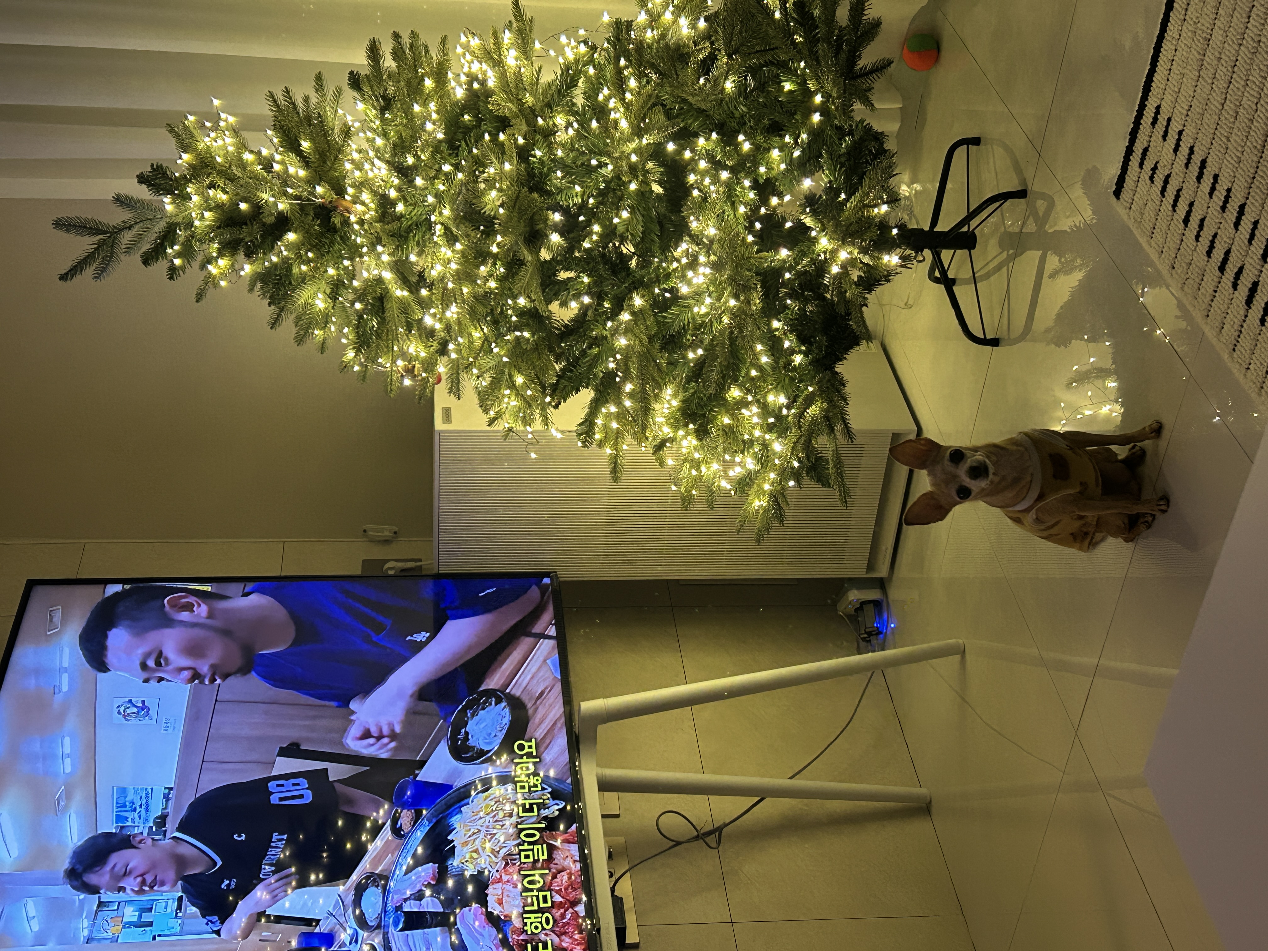 LG TV덕분에 더 따뜻하고 아늑했던 크리스마스🎄❤️