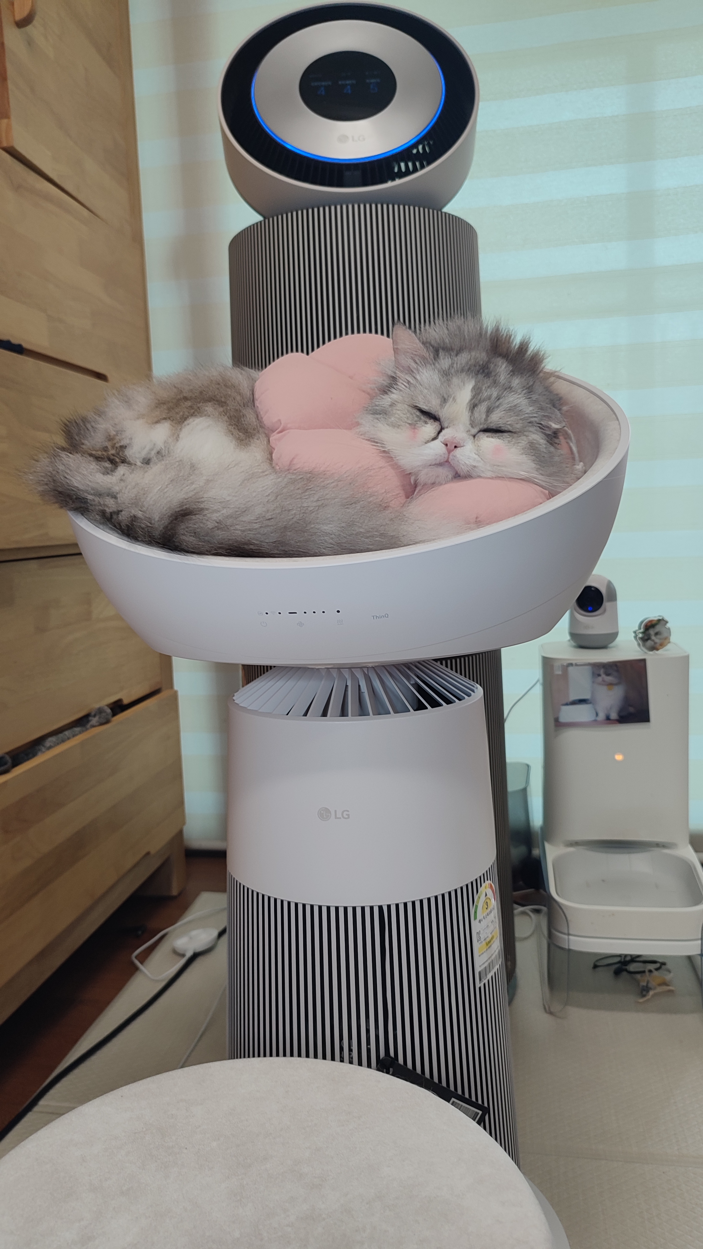 이거 만든 사람 고양이가 분명합니다