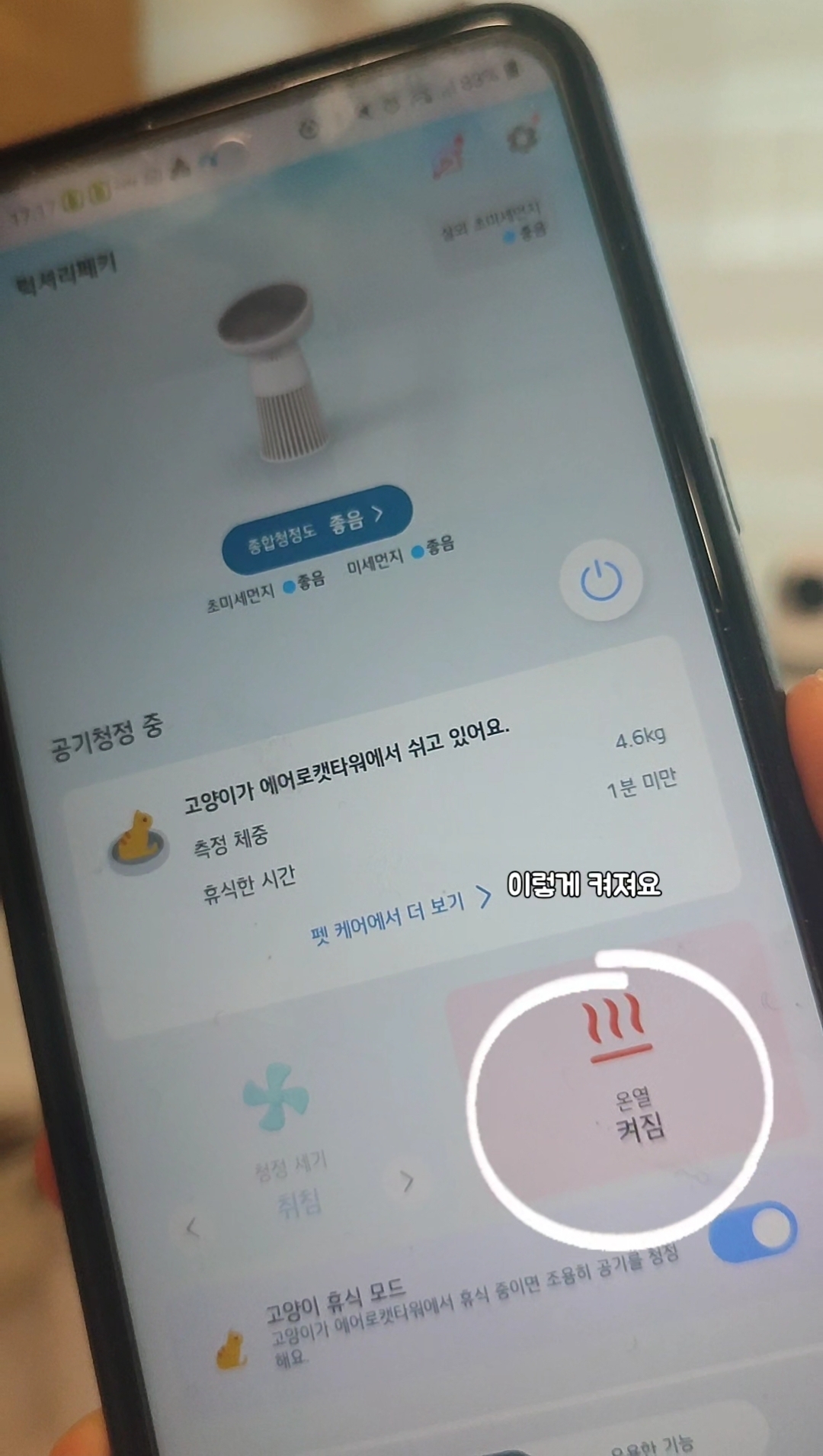 이거 만든 사람 고양이가 분명합니다
